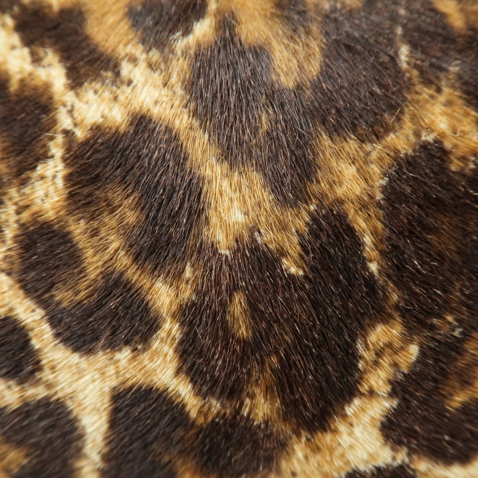 PRADA Pony Hair Leopard 2Way Boston Bag Shoulder Bag Brown BL0429
