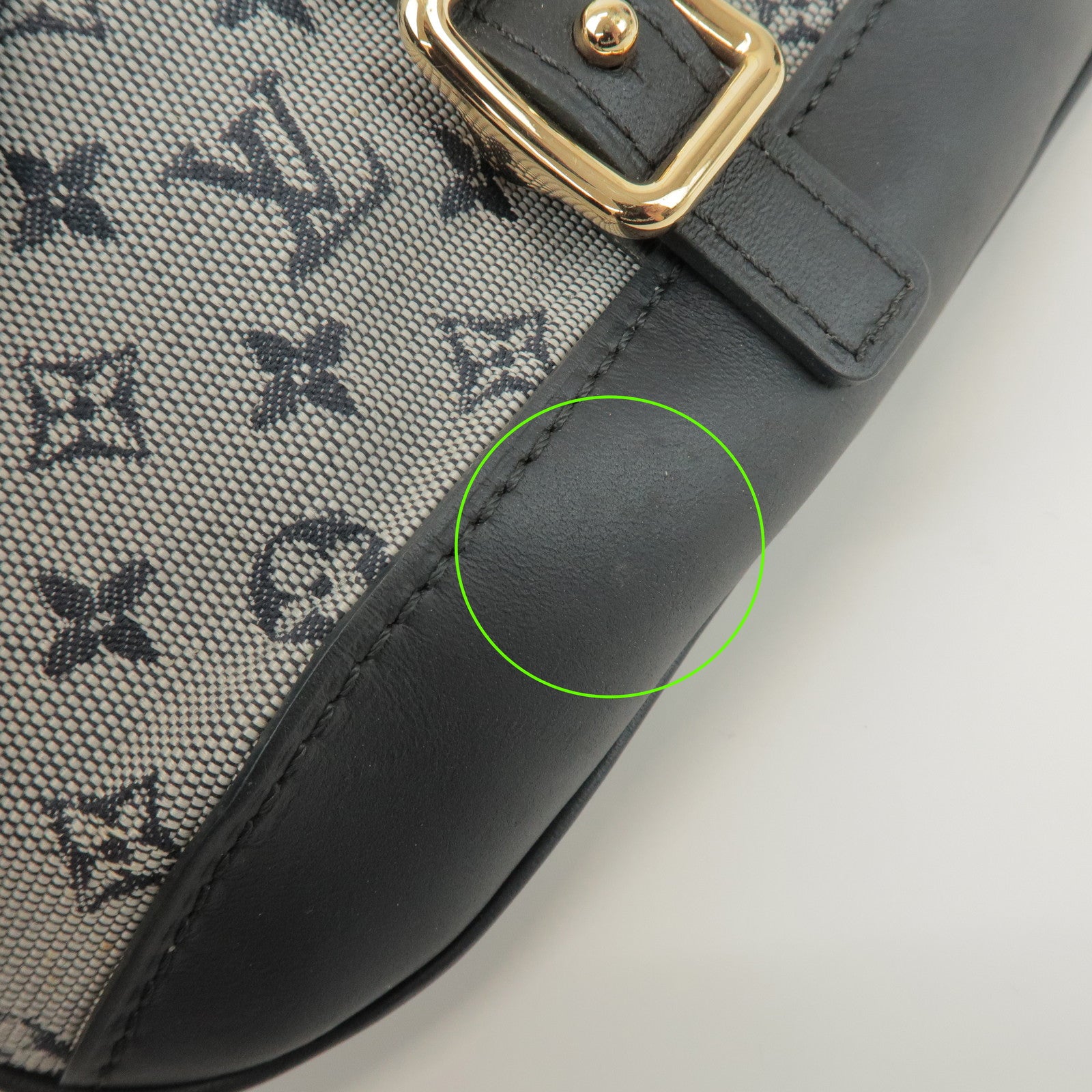 Louis Vuitton Monogram Mini Anne Sophi Cosmetic Pouch Blue M92695