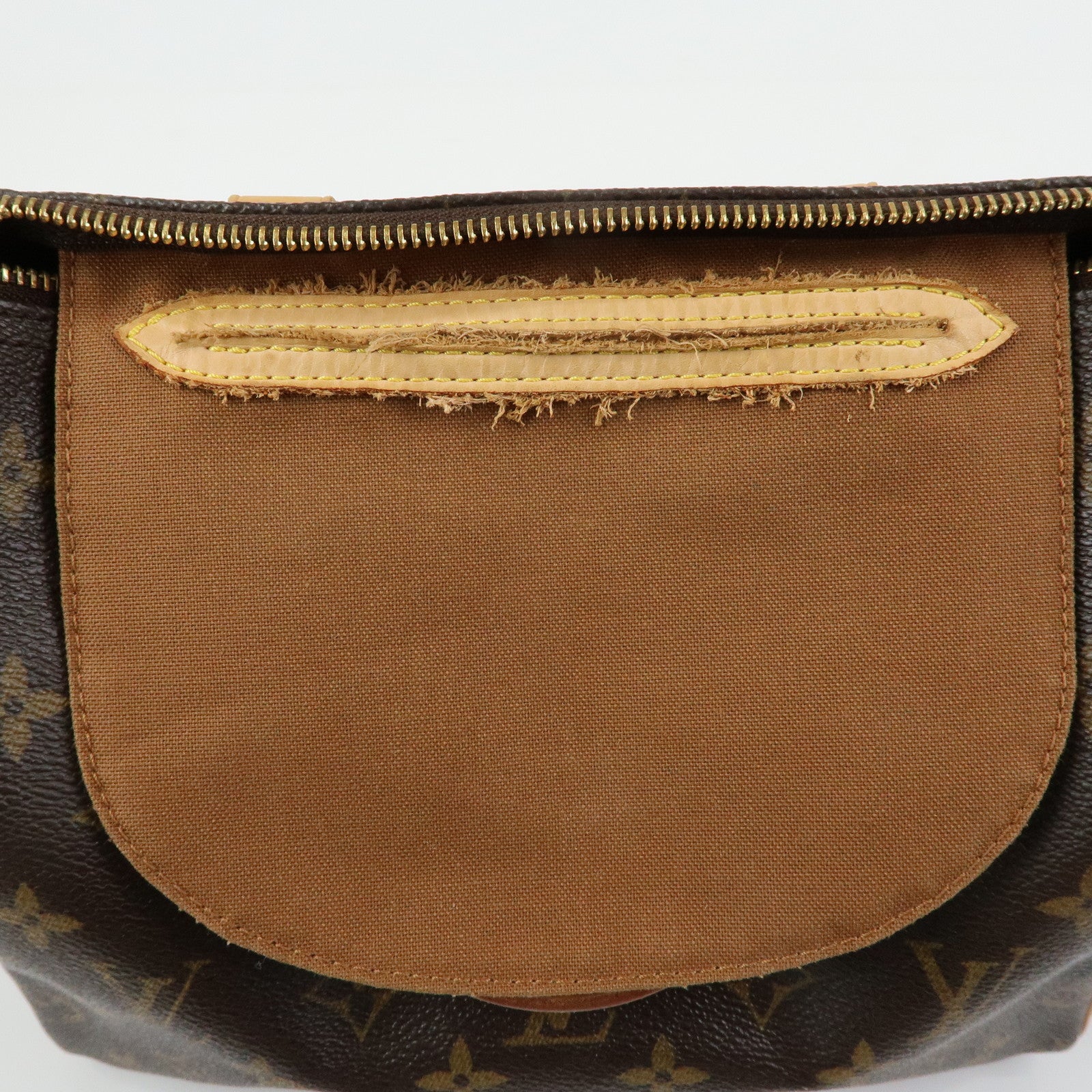 Louis Vuitton Monogram Speedy 25 Boston Bag Hand Bag Brown M41528