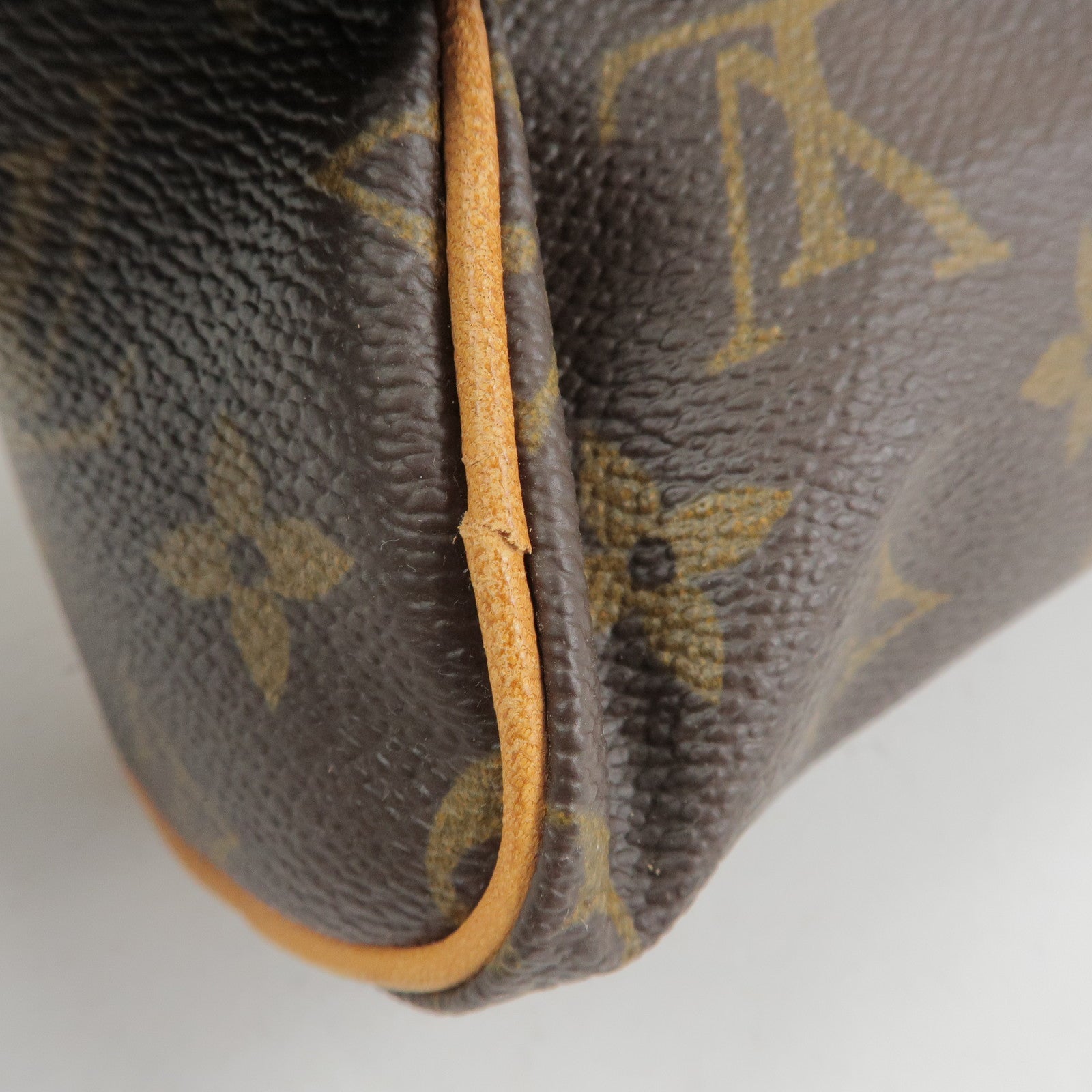 Louis Vuitton Monogram Mini Speedy Hand Bag Brown M41534