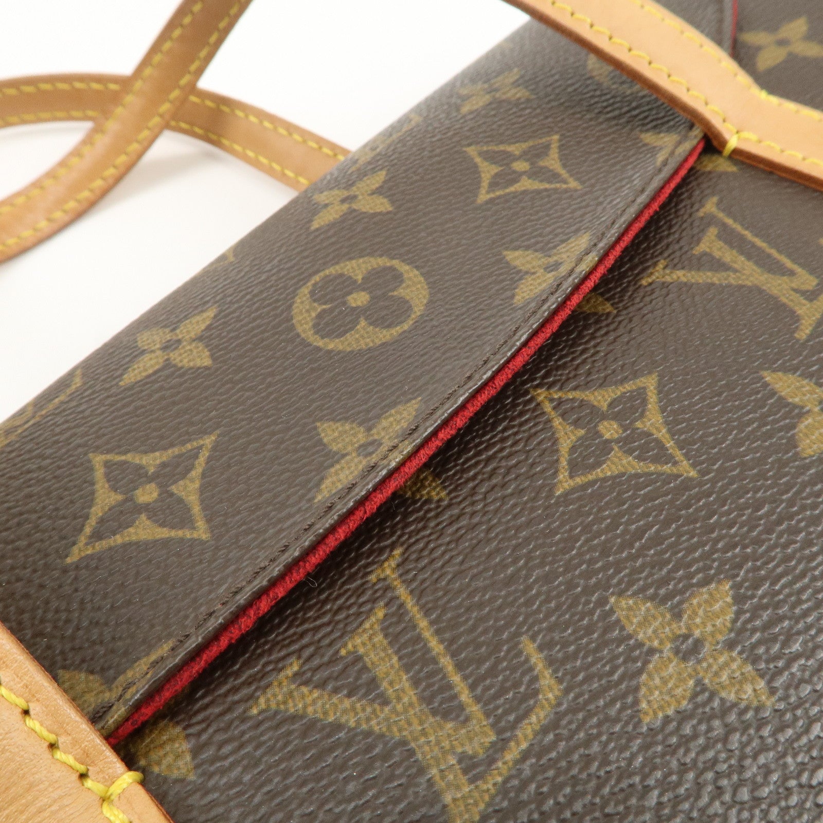 Louis Vuitton Monogram Sonatine Hand Bag Brown M51902