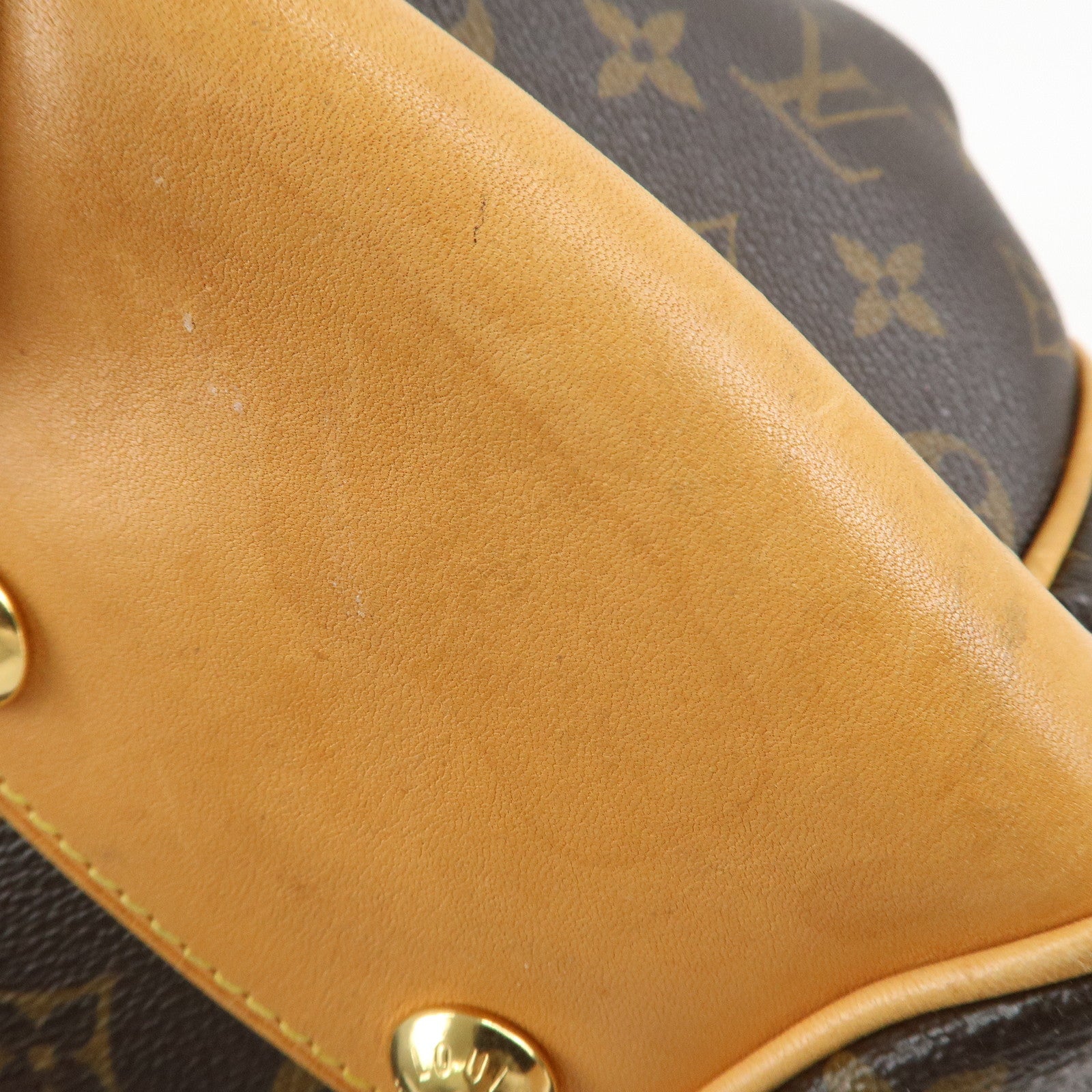 Louis Vuitton Monogram Poesie PM Hand Bag Brown M45715