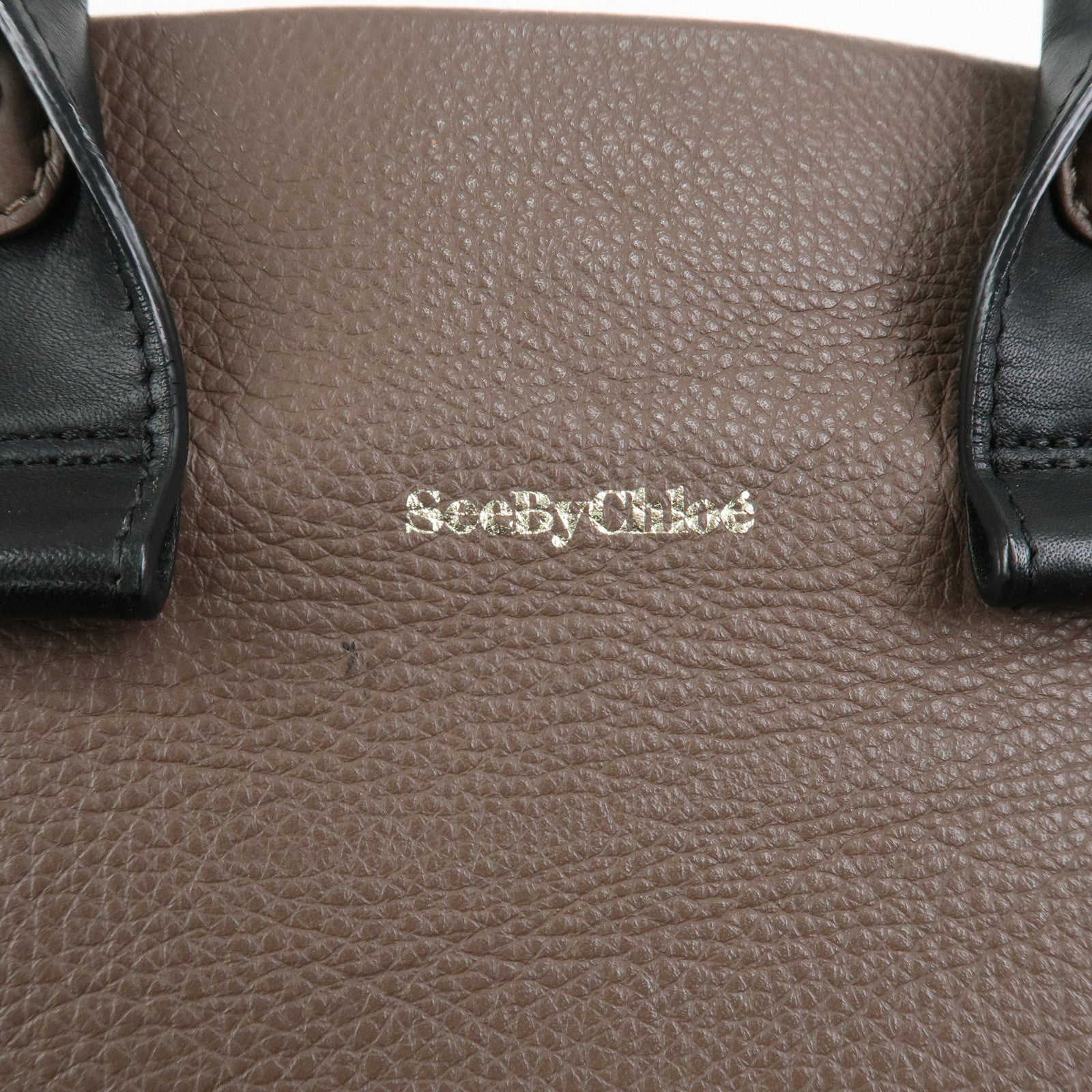 Chloe See by Chloe Leather Tote Bag Hand Bag Gray