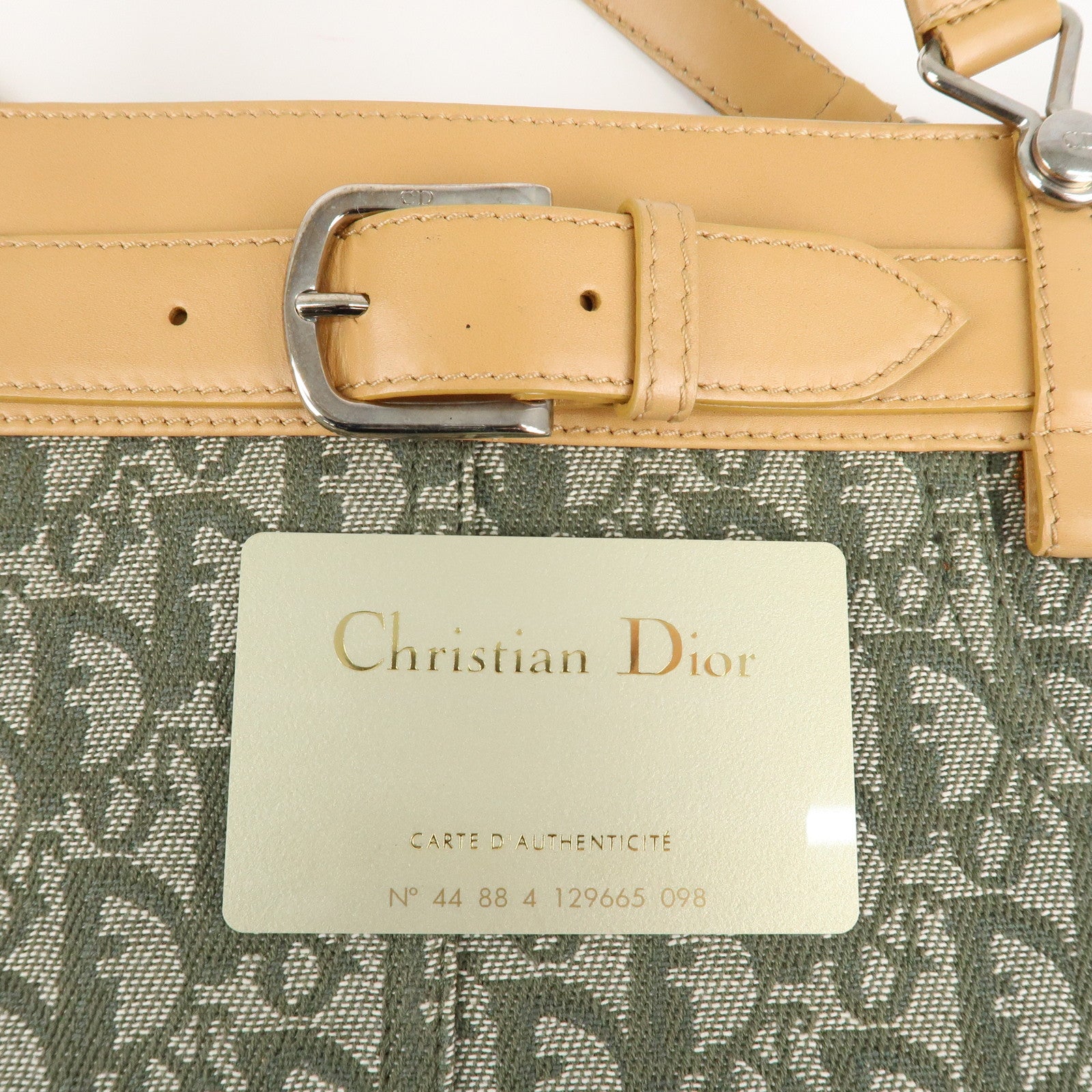 Chiristian Dior Trotter Canvas Leather Tote Bag Green White Beige