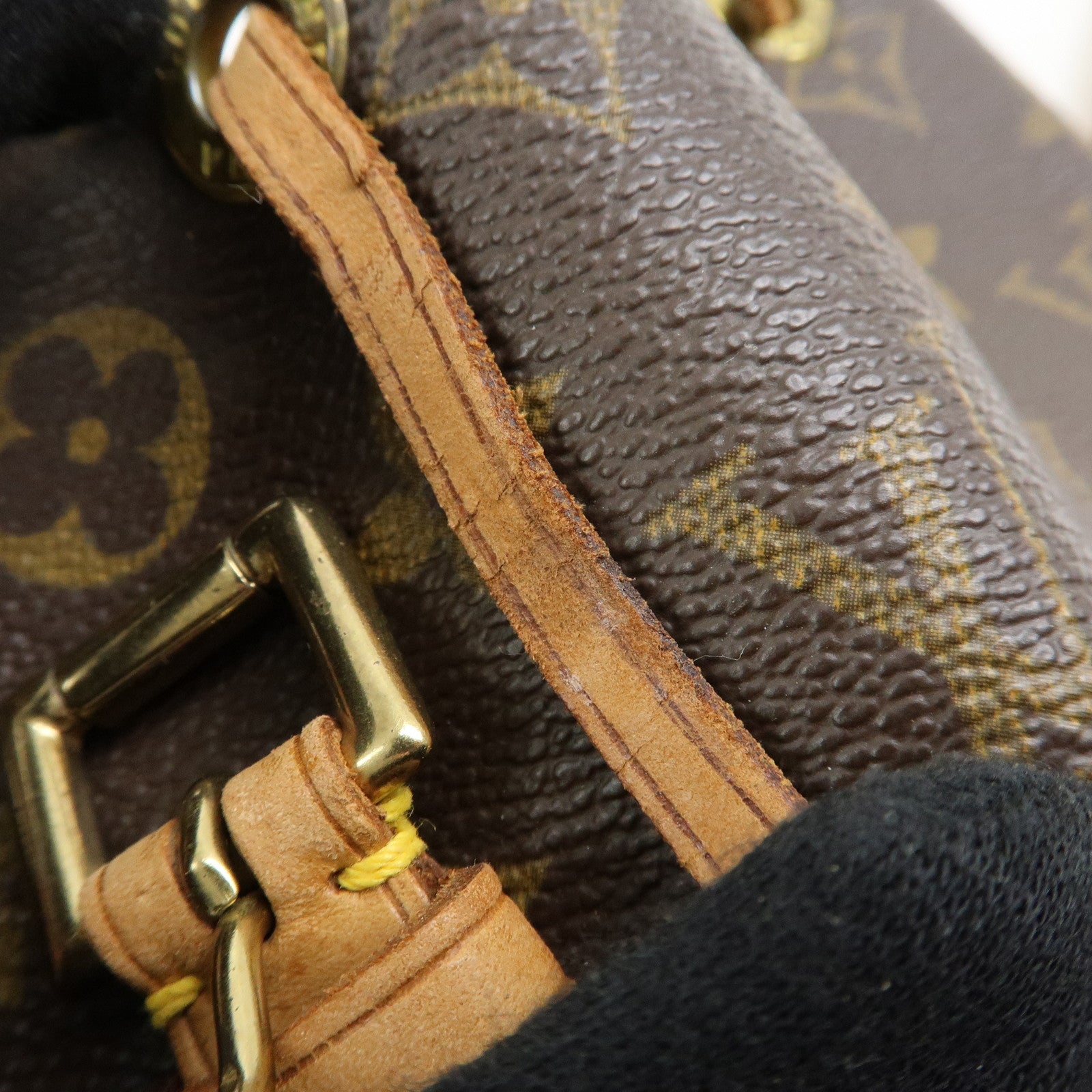 Louis Vuitton Monogram Mini Montsouris Backpack Brown M51137