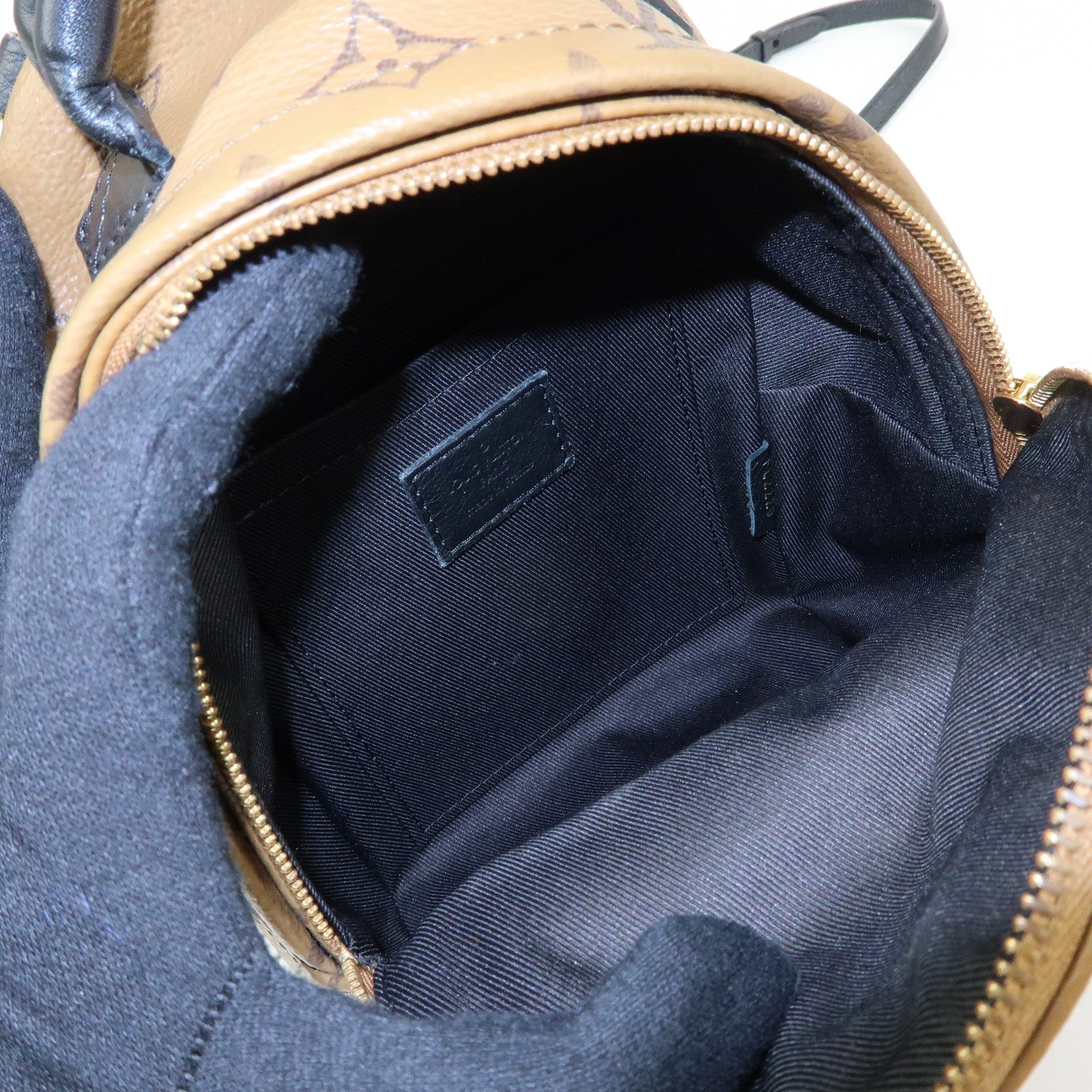 Louis Vuitton Monogram Reverse Palm Springs Backpack Mini M42411
