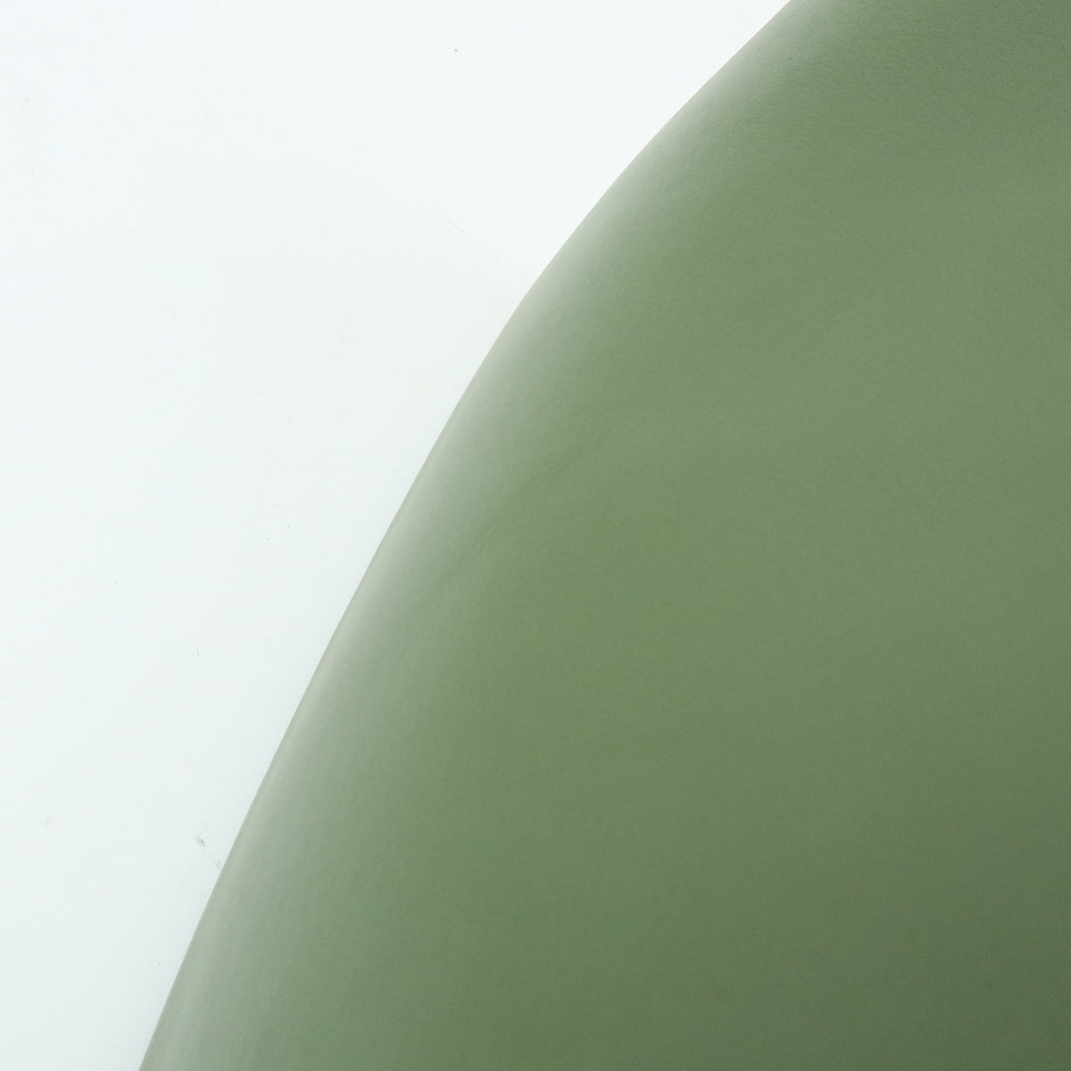 LOEWE Oblong Pouch Leather Clutch Bag Green