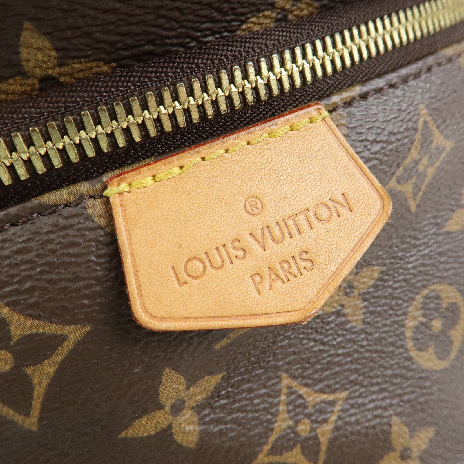 Louis Vuitton Monogram Bum Bag Crossbody Shoulder Bag Brown M43644