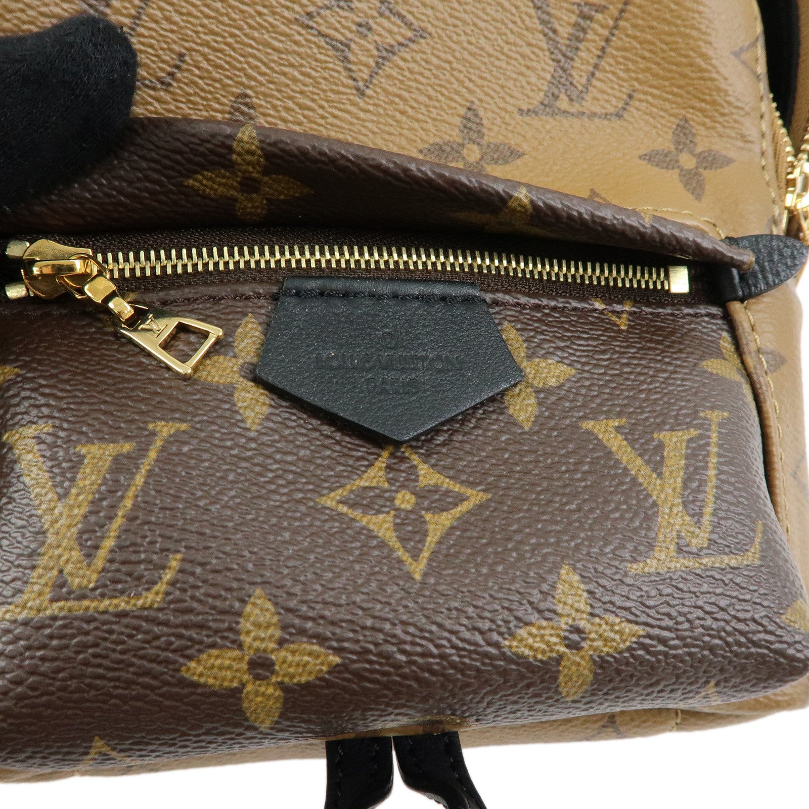 Louis Vuitton Monogram Reverse Palm Springs Backpack Mini M42411