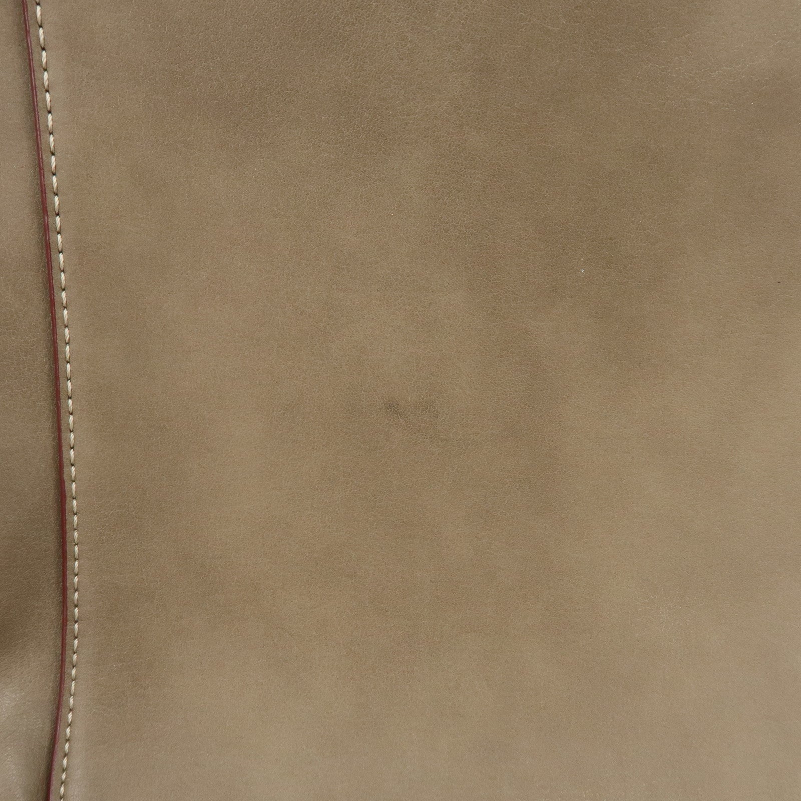Chloe Sam Leather 2Way Bag Hand Bag Shoulder Bag Greige
