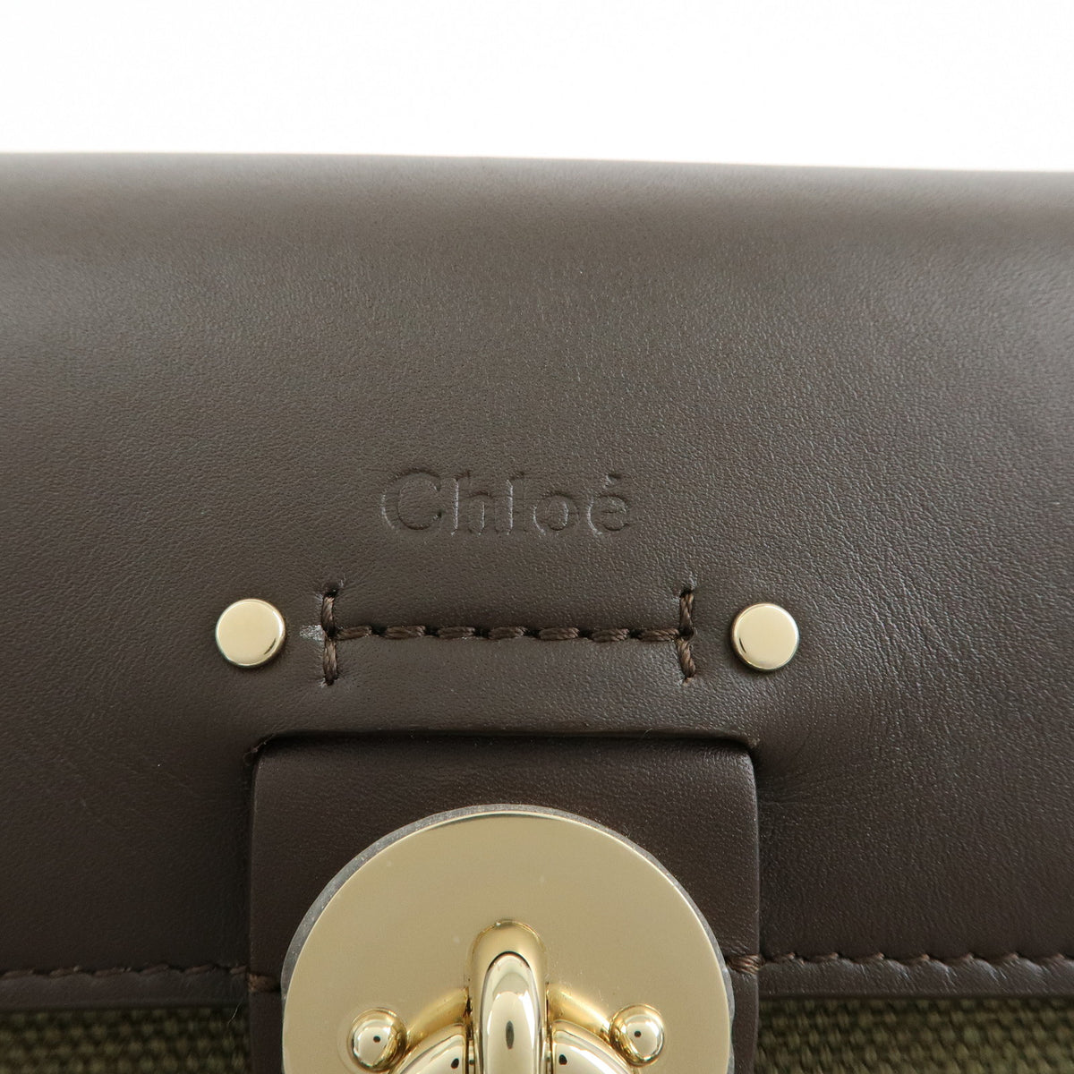 Chloe Tess Small Canvas Leather 2Way Bag Hand Bag Brown Green