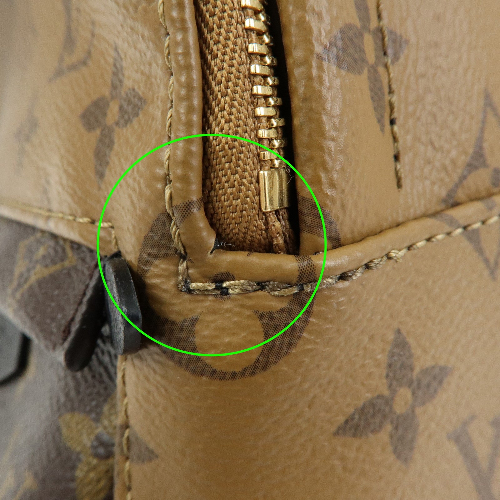 Louis Vuitton Monogram Reverse Palm Springs Backpack Mini M42411