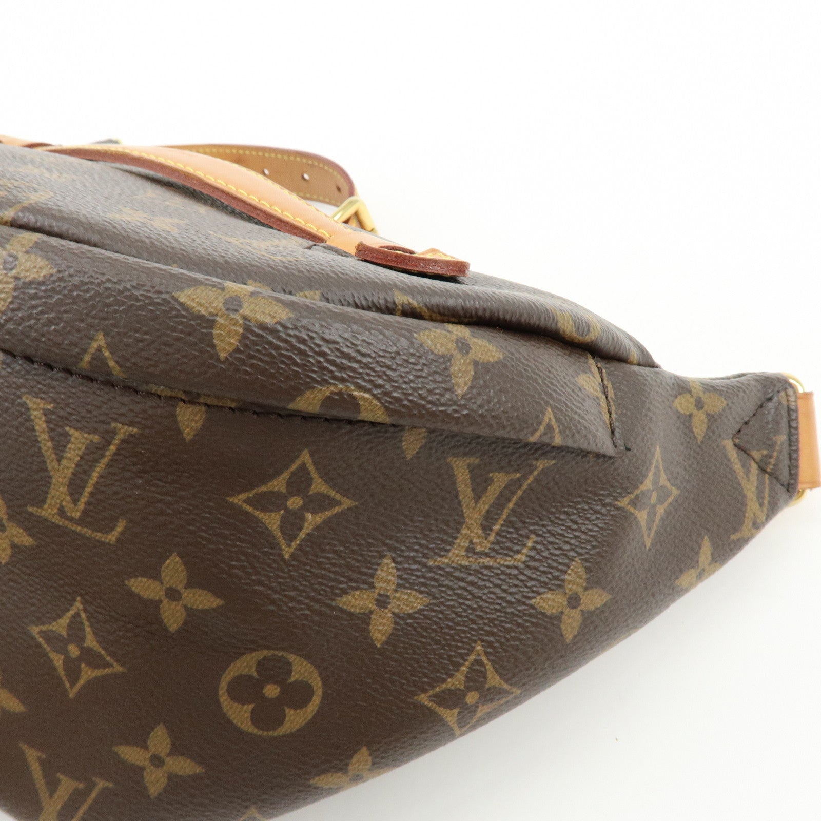 Louis Vuitton Monogram Bumbag Crossbody Bag Shoulder Bag Brown M43644