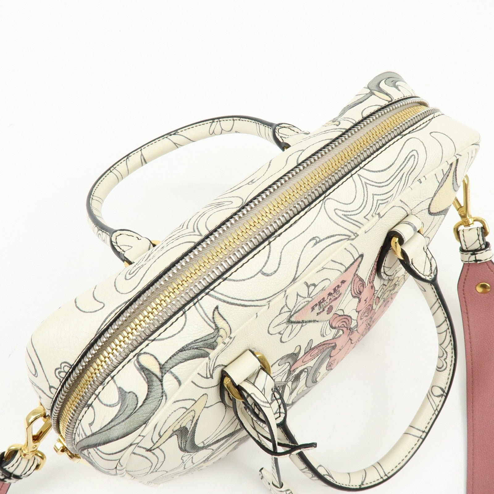 PRADA x James Jean Triangle Logo Calf Skin 2Way Shoulder Bag 1BB113