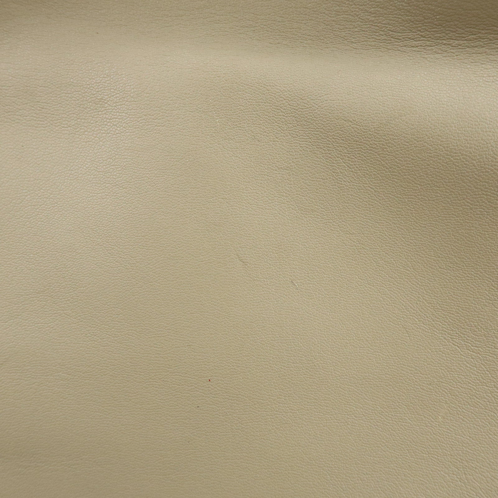 CELINE Leather Tote Bag Shoulder Bag Greige