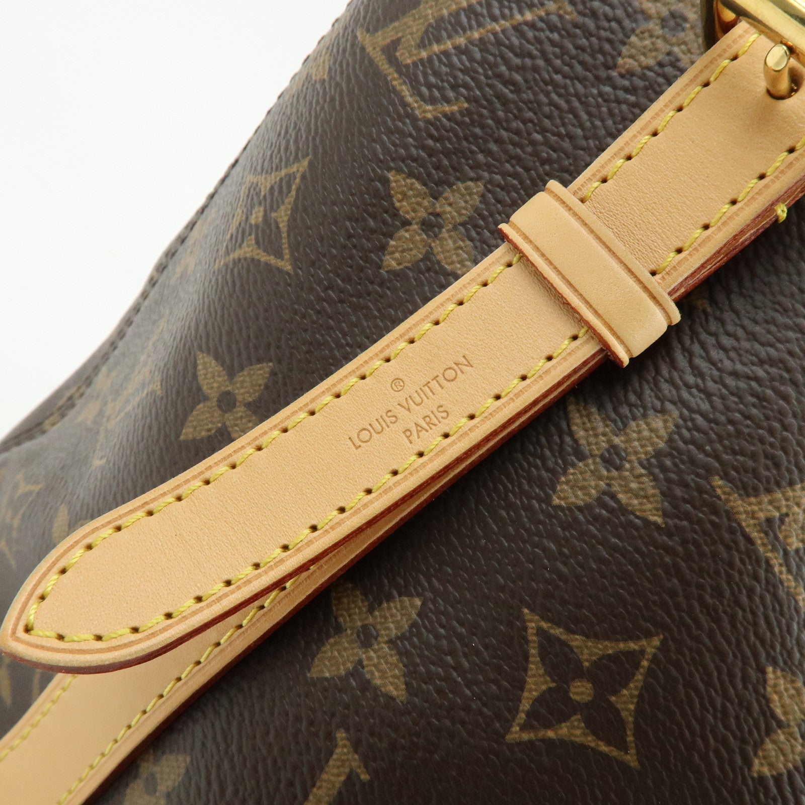 Louis Vuitton Monogram Canvas Tuileries Tote Bag Brown M41207