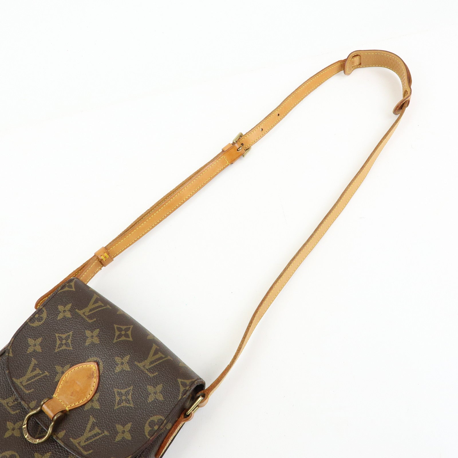 Louis Vuitton Monogram Mini Saint Cloud PM Shoulder Bag M51244