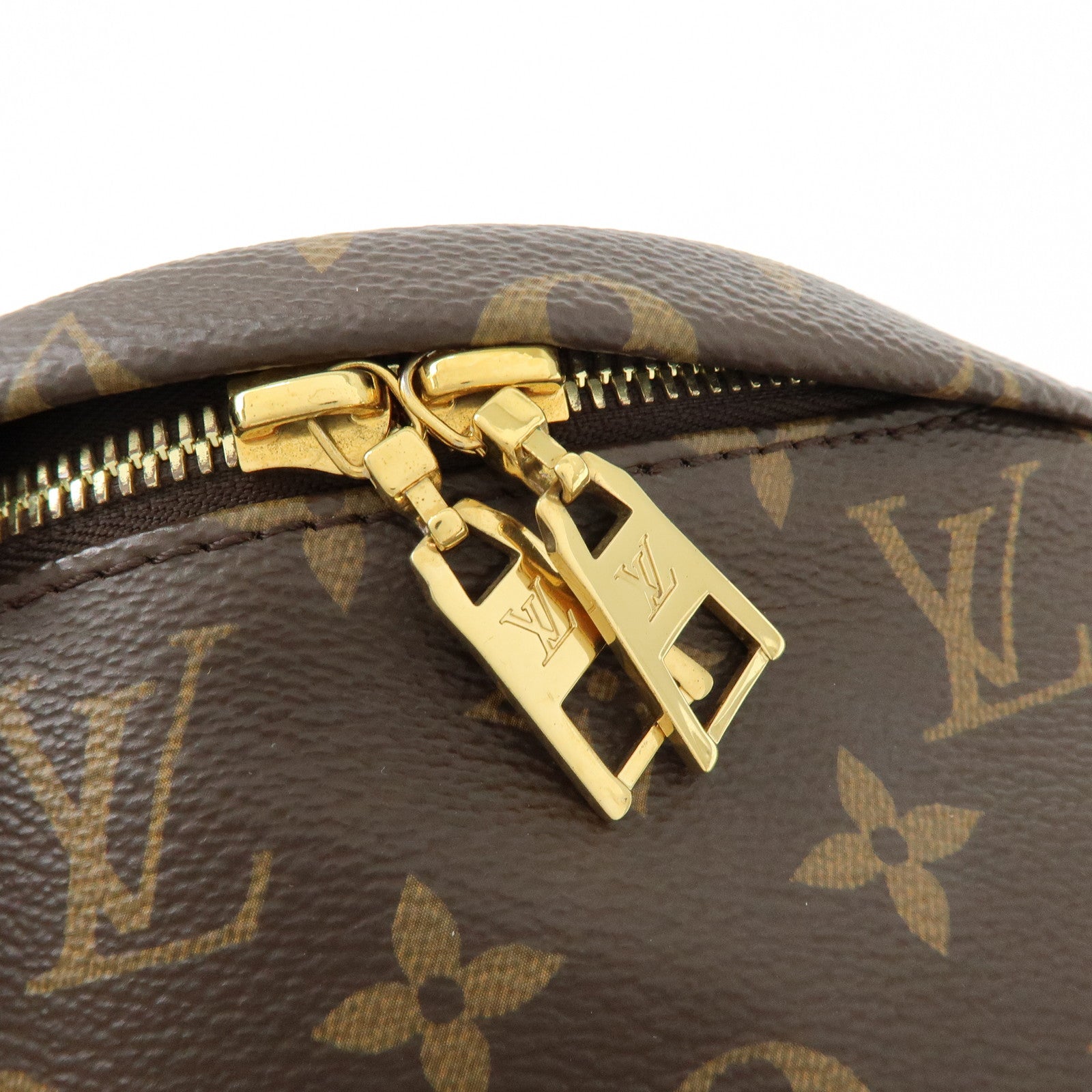 Louis Vuitton Monogram Bumbag Crossbody Bag Shoulder Bag Brown M43644