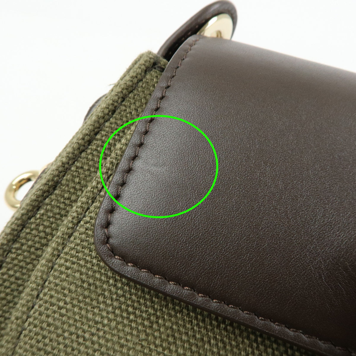 Chloe Tess Small Canvas Leather 2Way Bag Hand Bag Brown Green