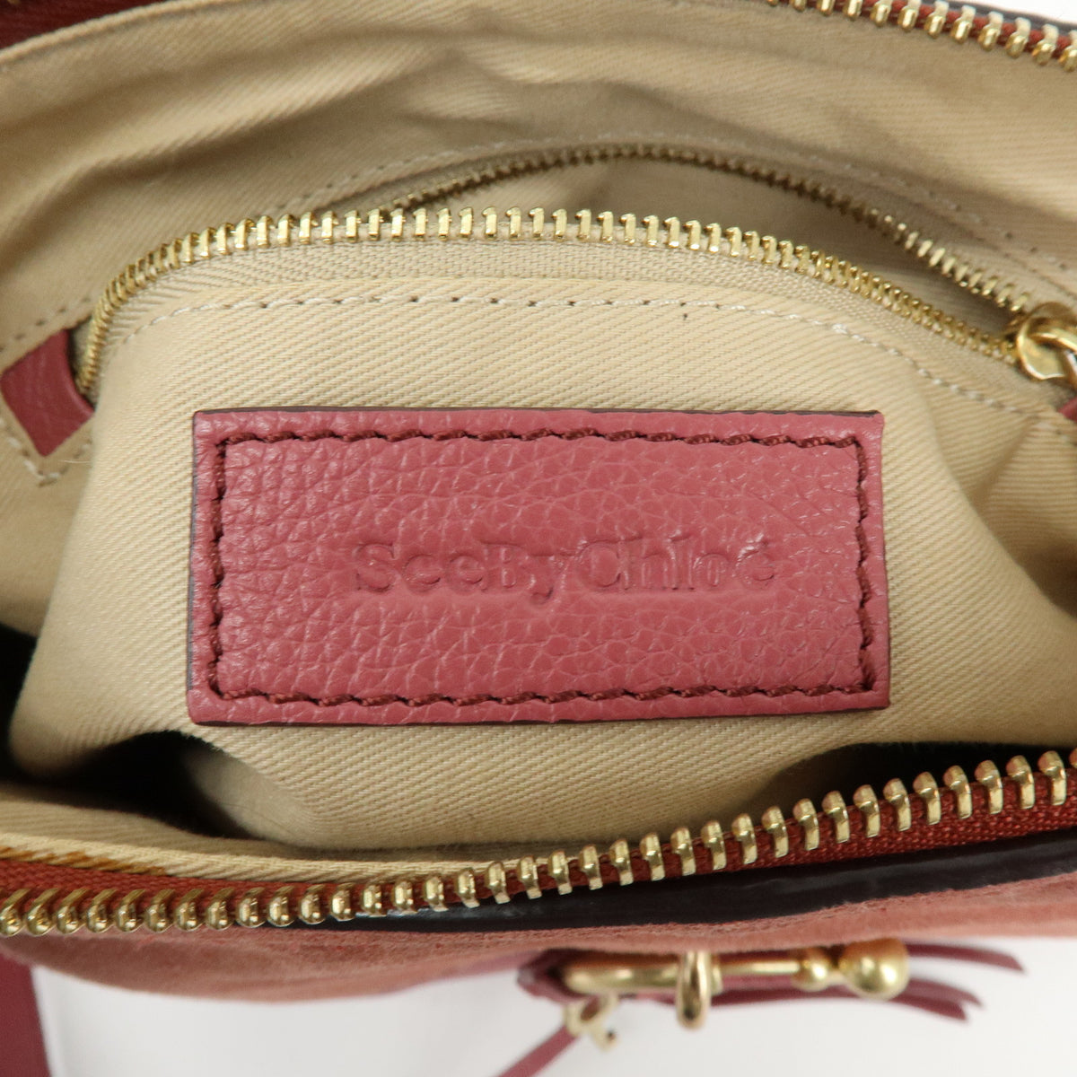 Chloe See by Chloe Joan Leather Suede Small 2Way Bag Crossbody Bag Pink