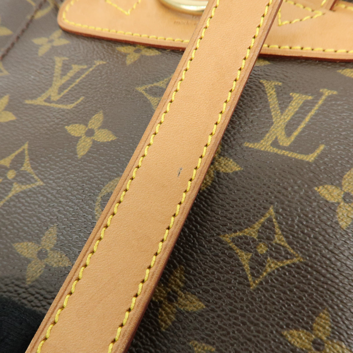 Louis Vuitton Monogram Montsouris MM Backpack Brown M51136