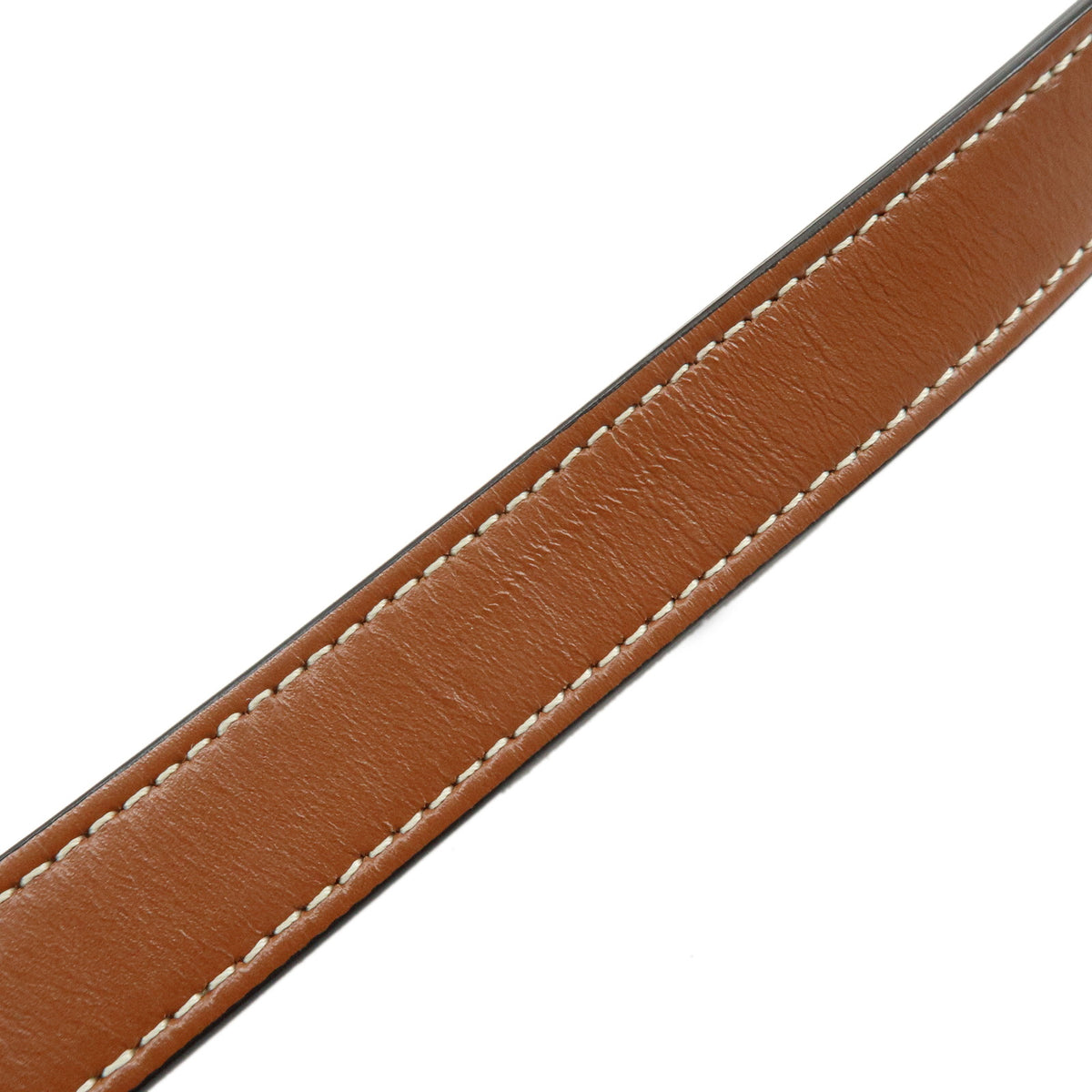 CELINE Triomphe Medium Bucket PVC Canvas Leather Shoulder Bag Tan Brown