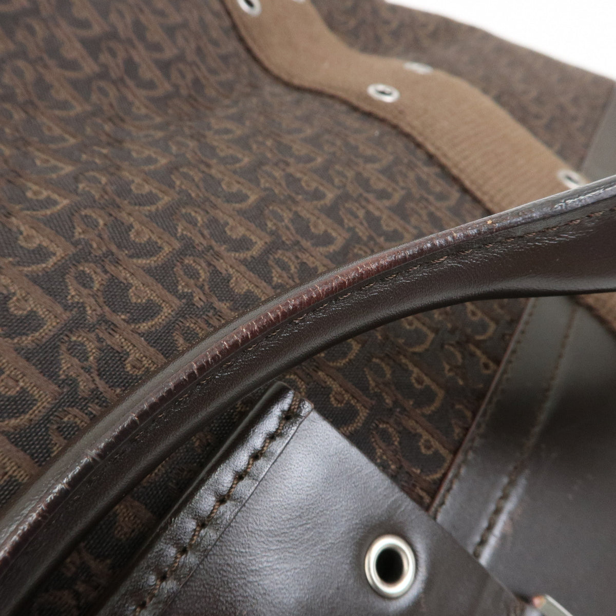 Christian Dior Trotter Street Chic Canvas Leather Hand Bag Brown