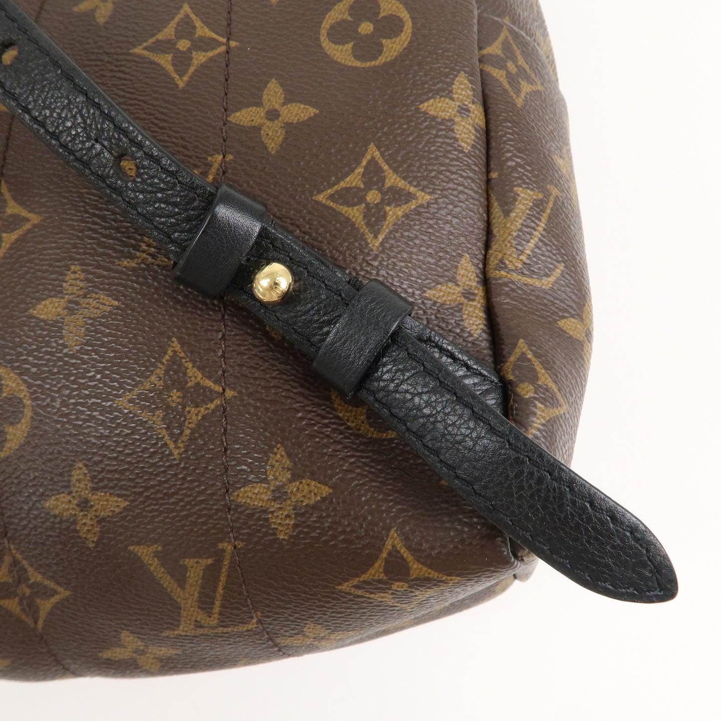 Louis Vuitton Monogram Palm Springs Back Pack PM Brown M44871