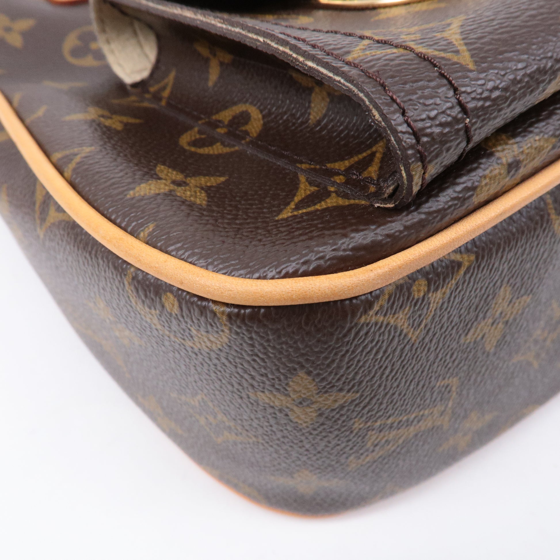 Louis Vuitton Brown Monogram Hudson GM Shoulder Bag
