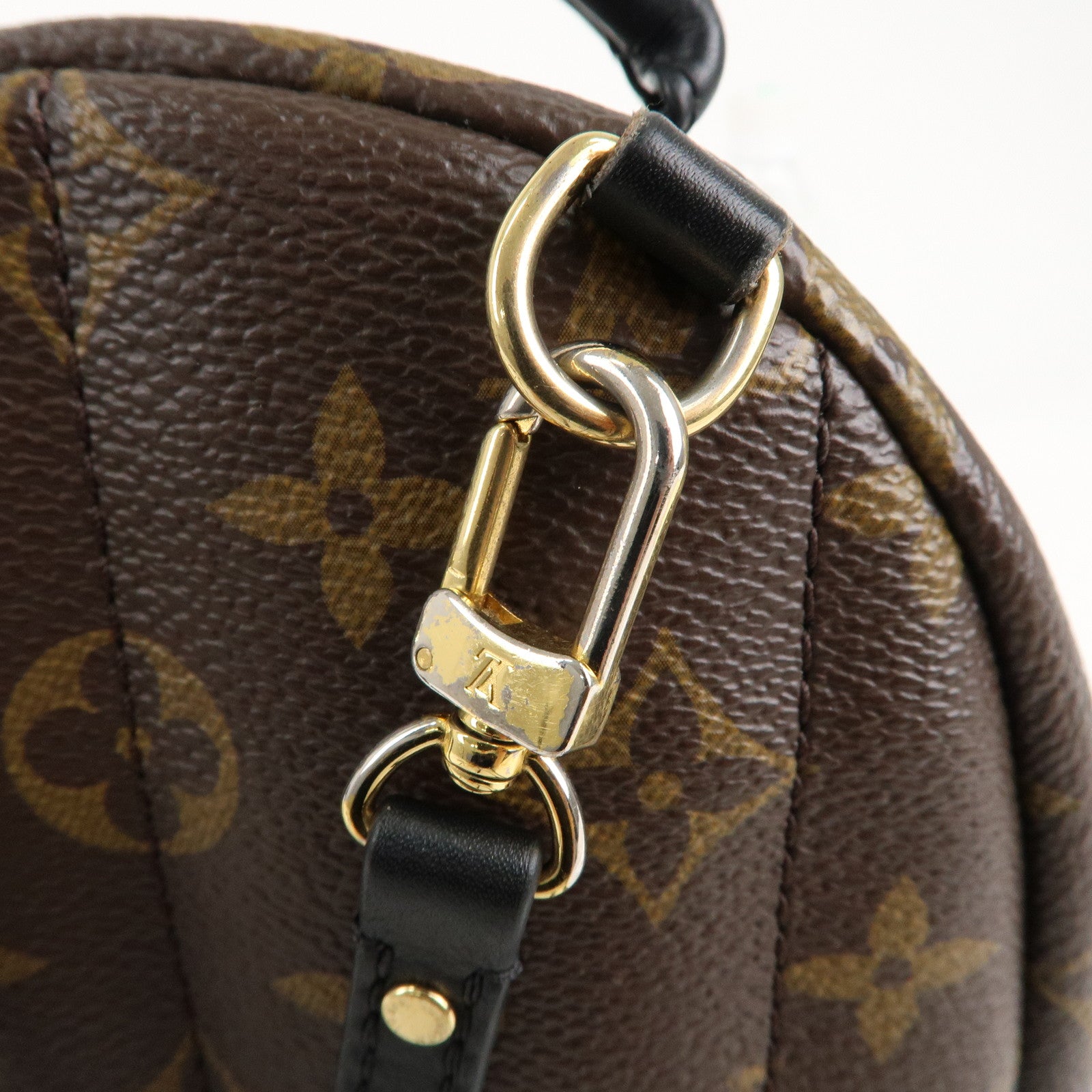 Louis Vuitton Monogram Mini Palm Spring Bag – The Closet