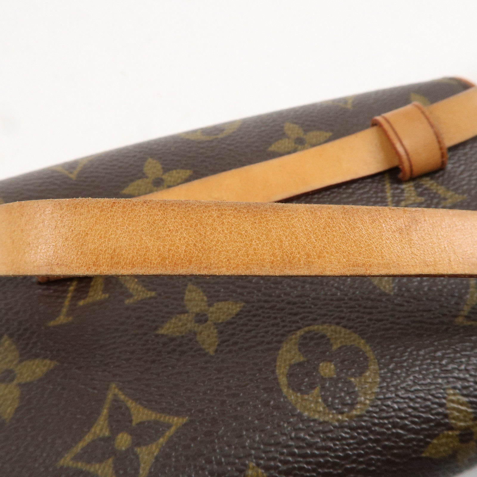 Louis Vuitton Monogram Pochette Florentine Waist Bag SizeXS M51855