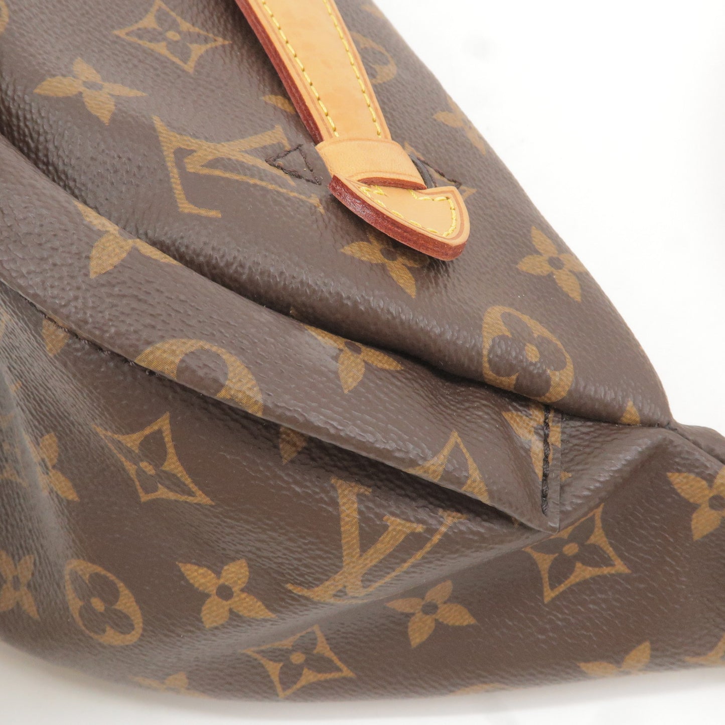 Louis Vuitton Monogram Bumbag Cross Body Bag M43644