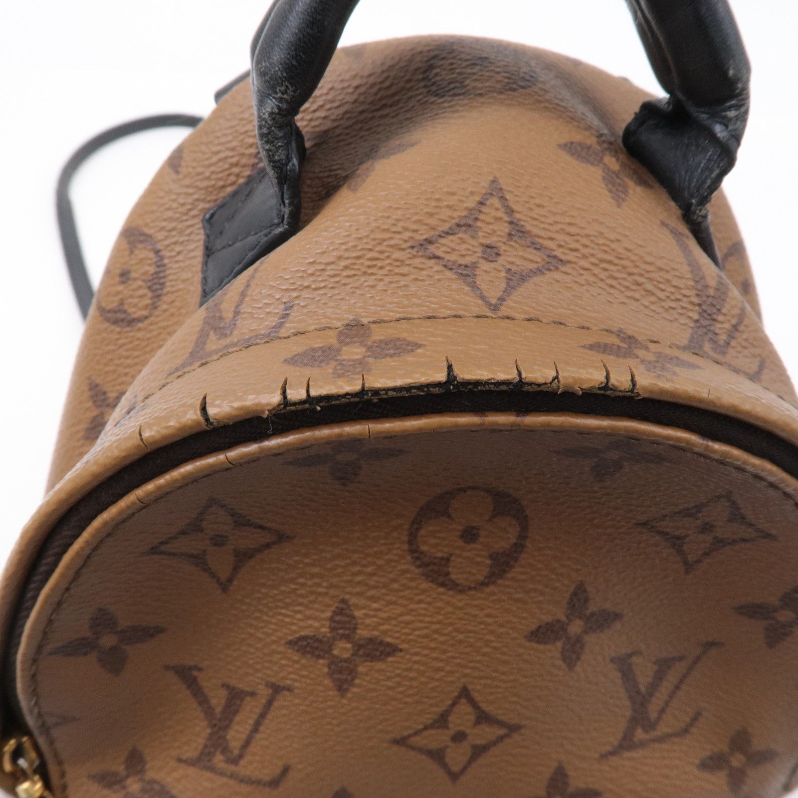 Louis Vuitton Monogram Reverse Palm Spring Mini Bag – The Closet