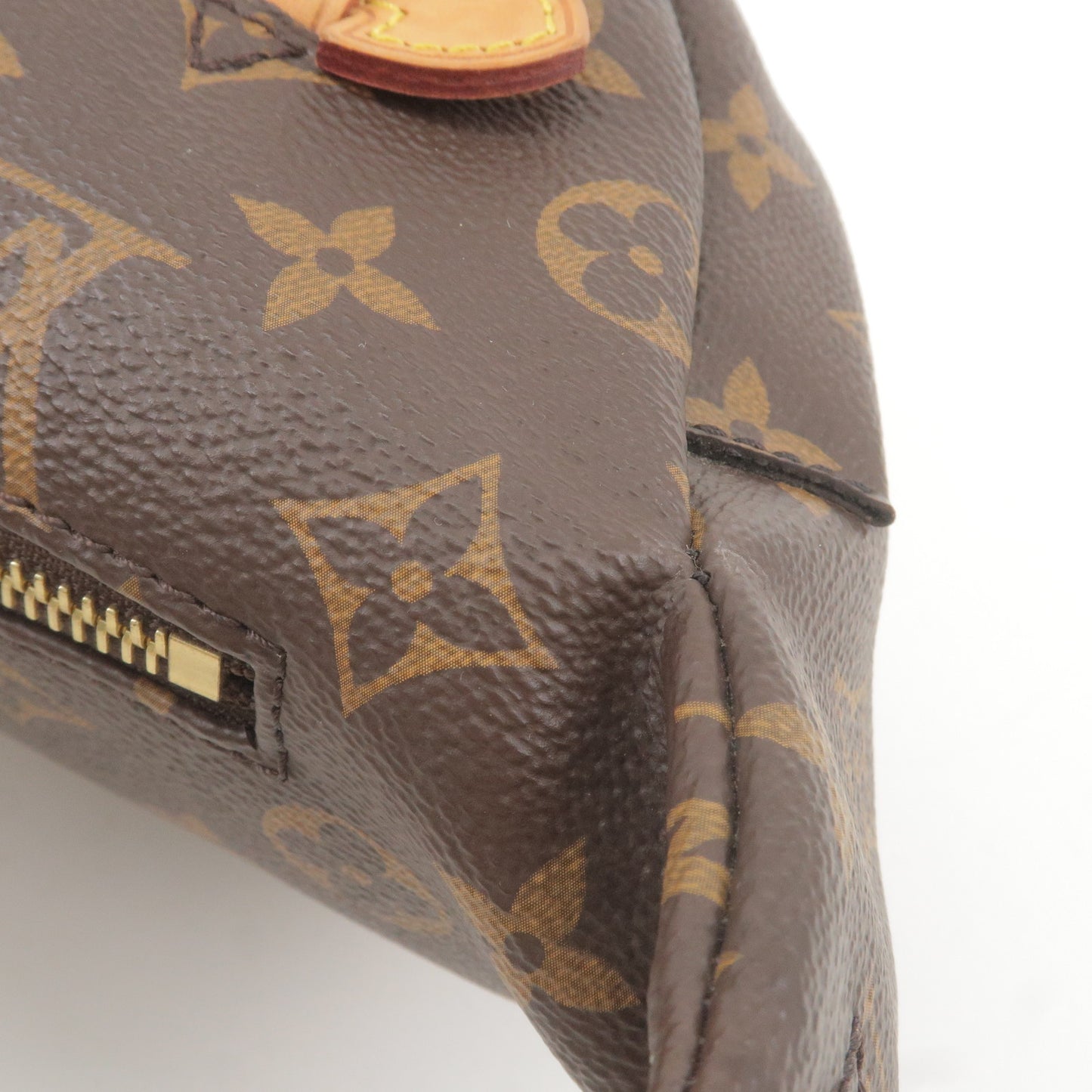 Louis Vuitton Monogram Bumbag Cross Body Bag M43644