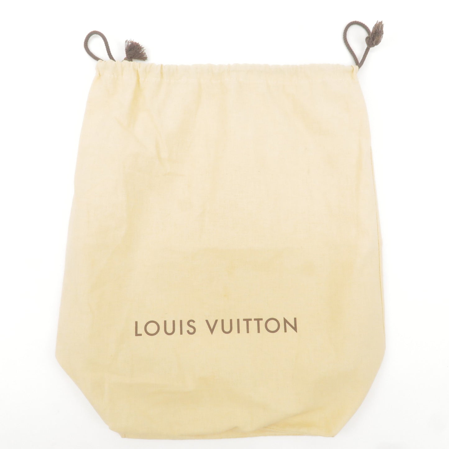 Large Luis Vuitton Plastic Tote W/ Dust Bag