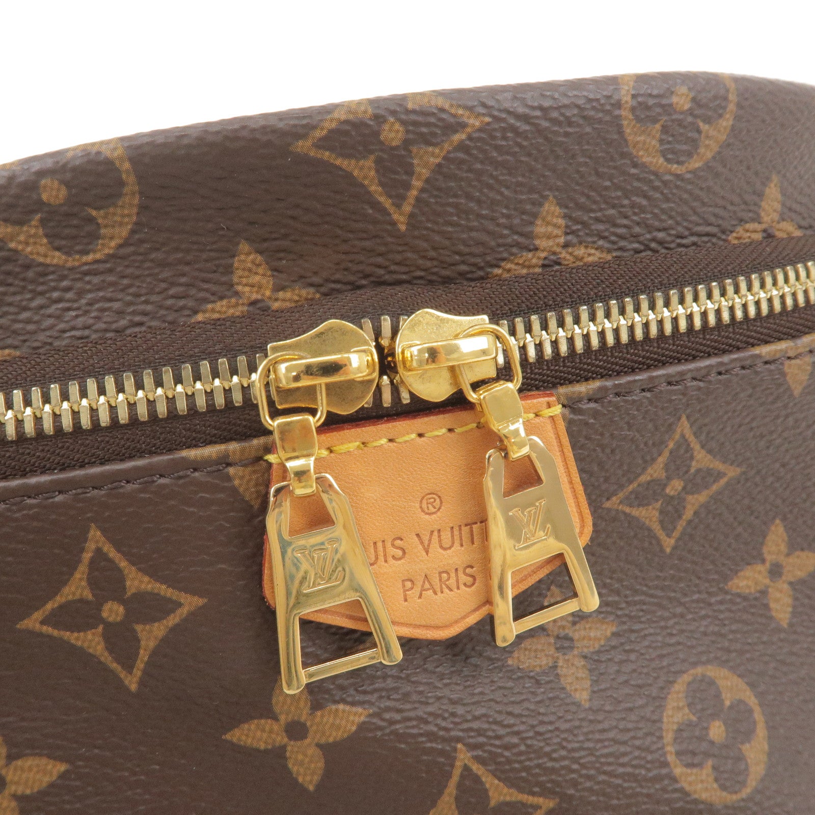Louis-Vuitton-Monogram-Bumbag-Cross-Body-Bag-M43644 – dct