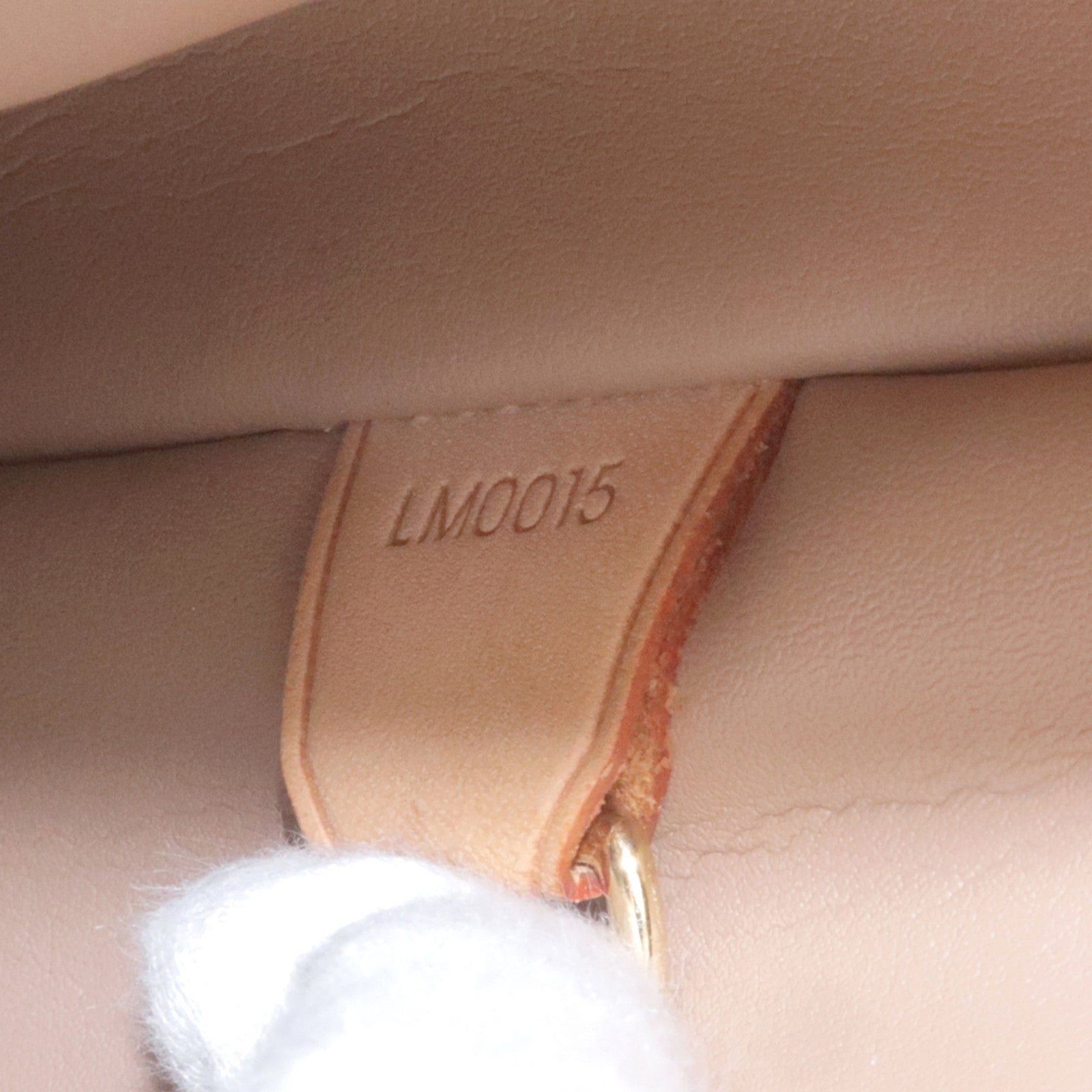 Louis Vuitton Noisette Monogram Vernis Houston Tote Bag