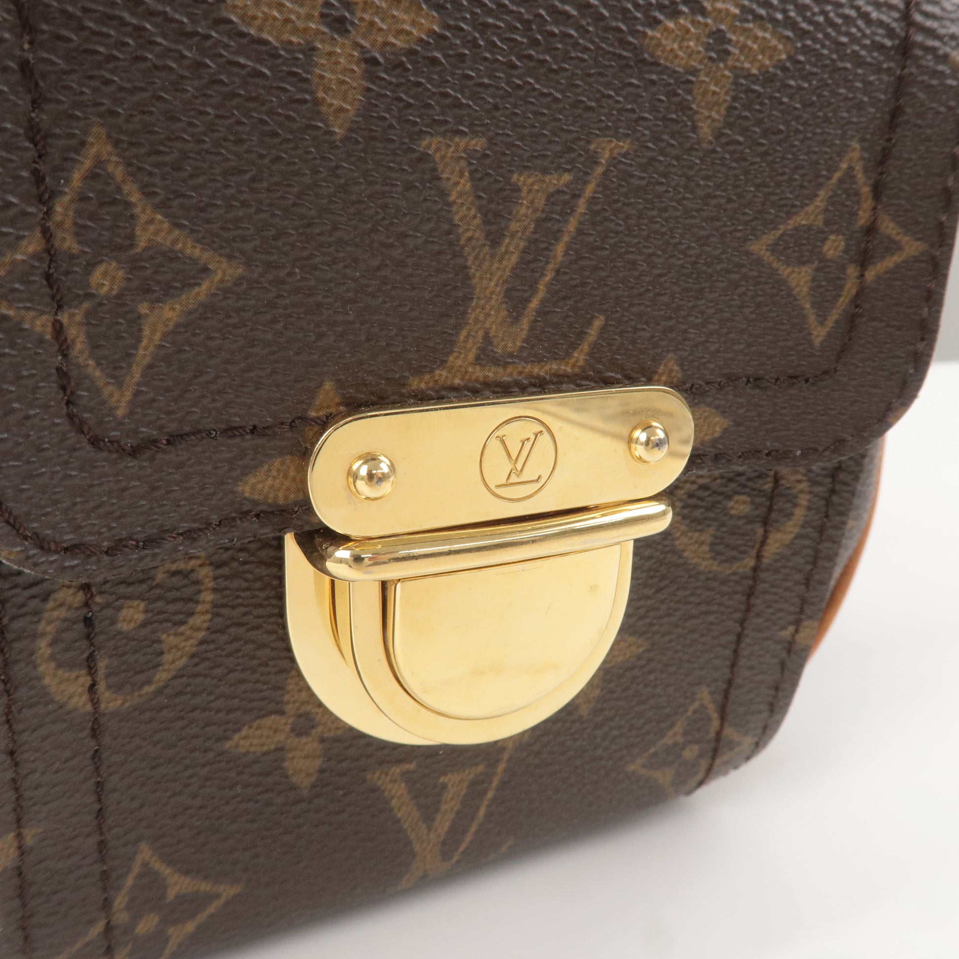 LOUIS VUITTON Women's Hudson GM Canvas in Brown