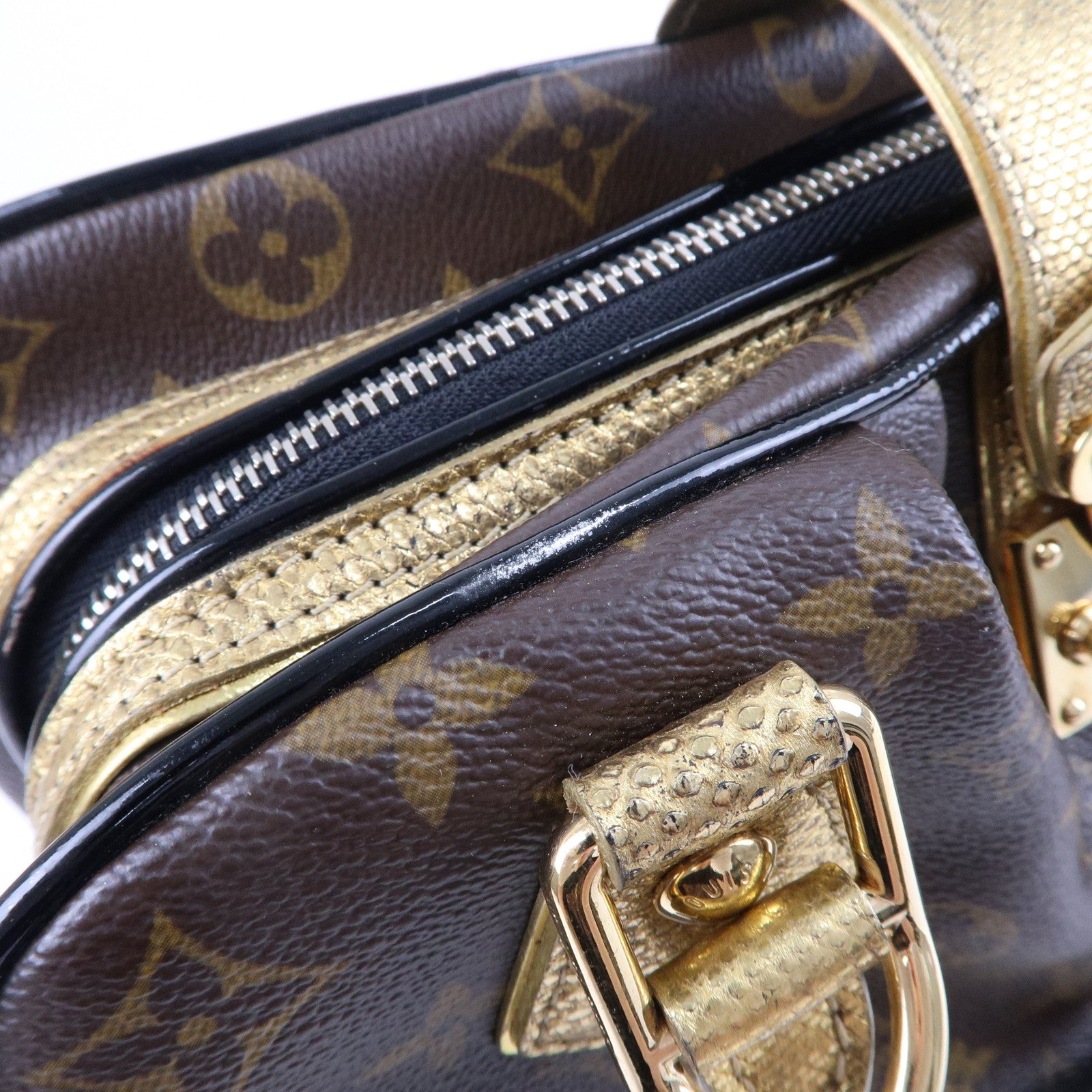 Louis Vuitton Monogram Leopard Handbag