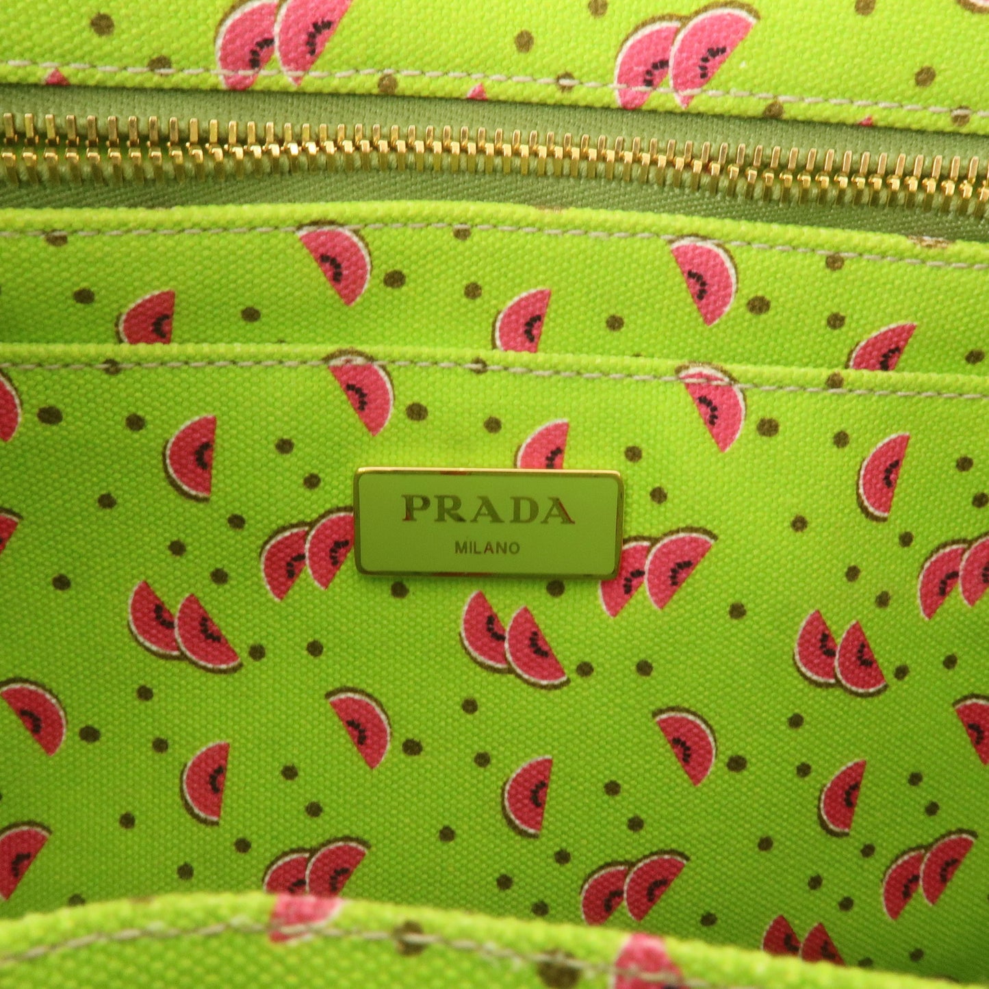 PRADA Logo Canapa Mini Canvas 2Way Shoulder Bag Watermelon 1BG439