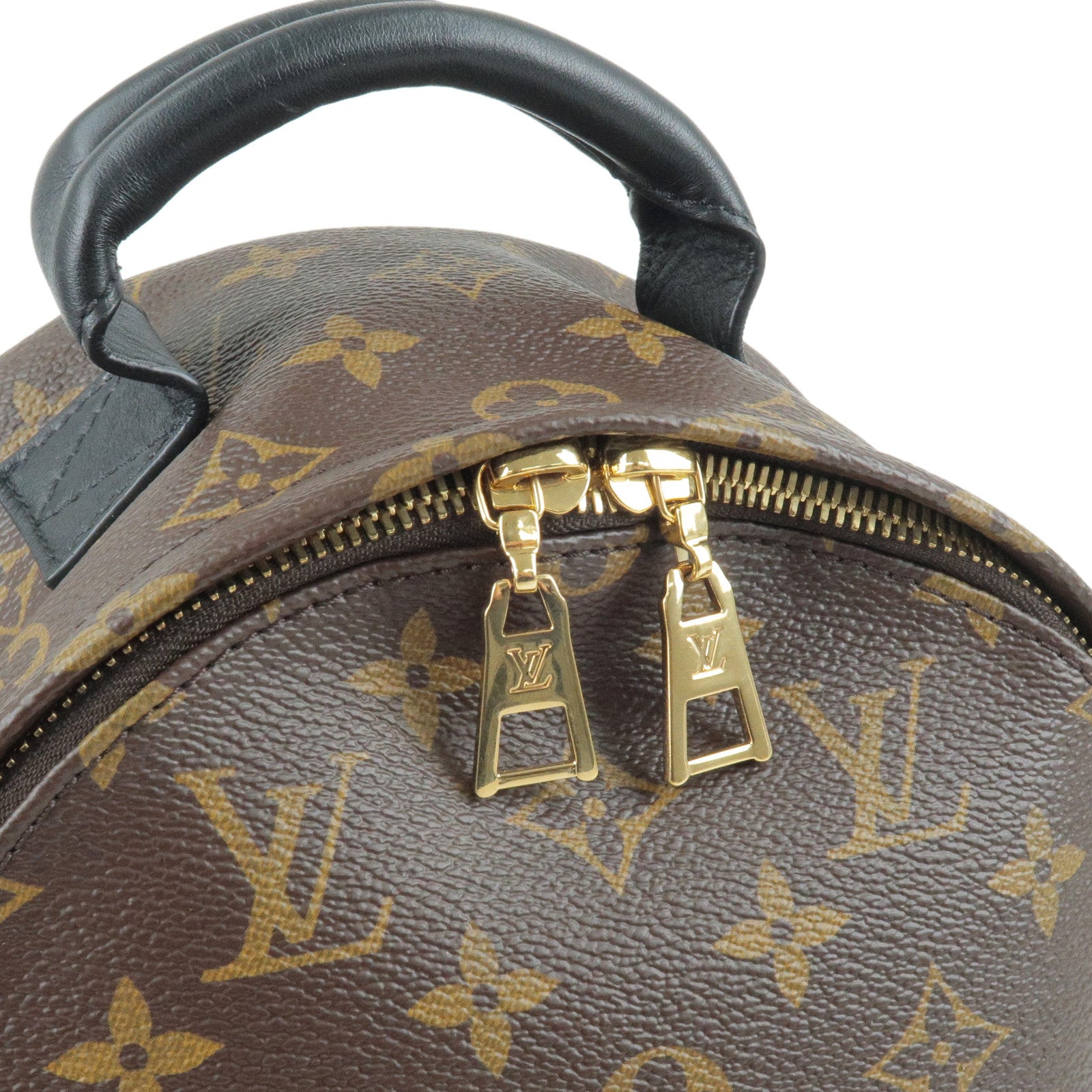 Louis Vuitton LV Monogram Palm Springs Backpack PM M44871