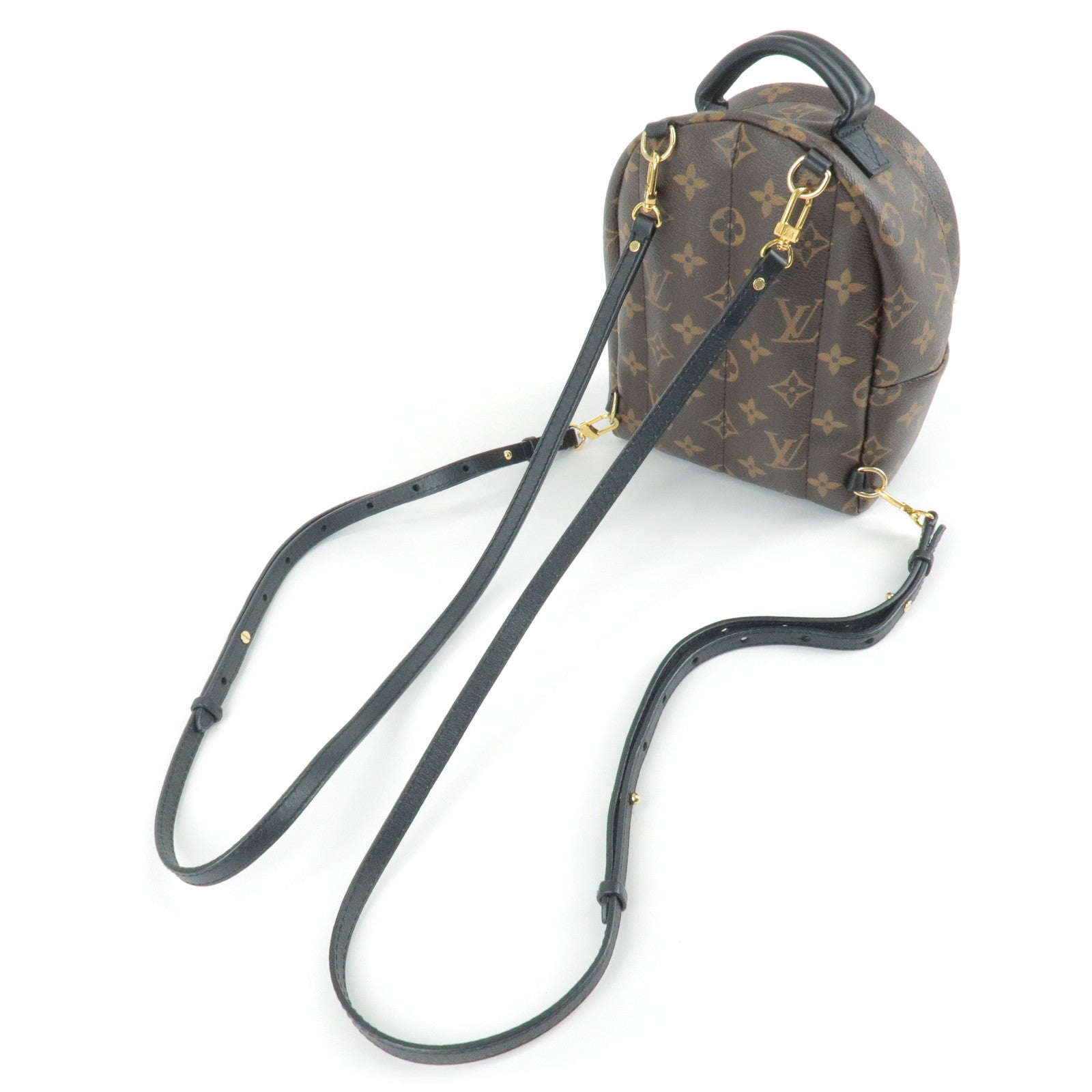 LOUIS VUITTON PALM SPRINGS MM MONOGRAM BACKPACK – BLuxe Boutique