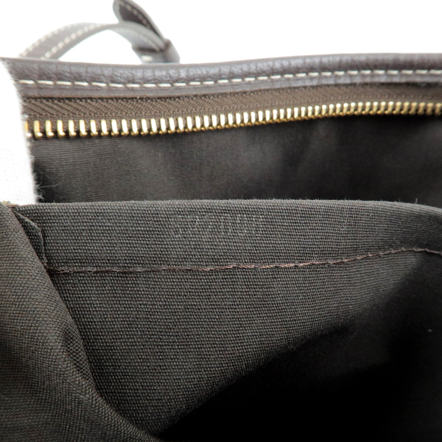 Louis Vuitton Monogram Mini Lin Besace Angele 2Way Bag M95617