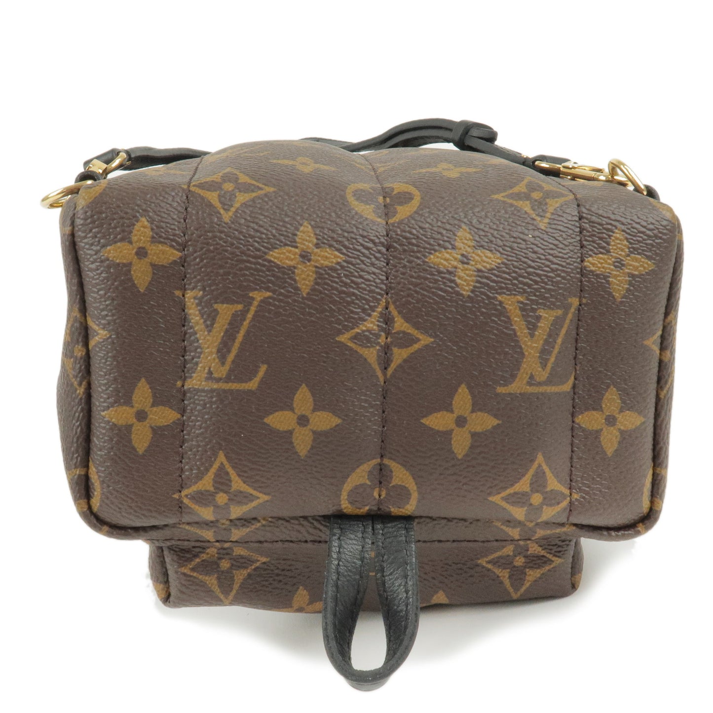 Louis Vuitton Monogram Palm Springs MINI Back Pack M44873