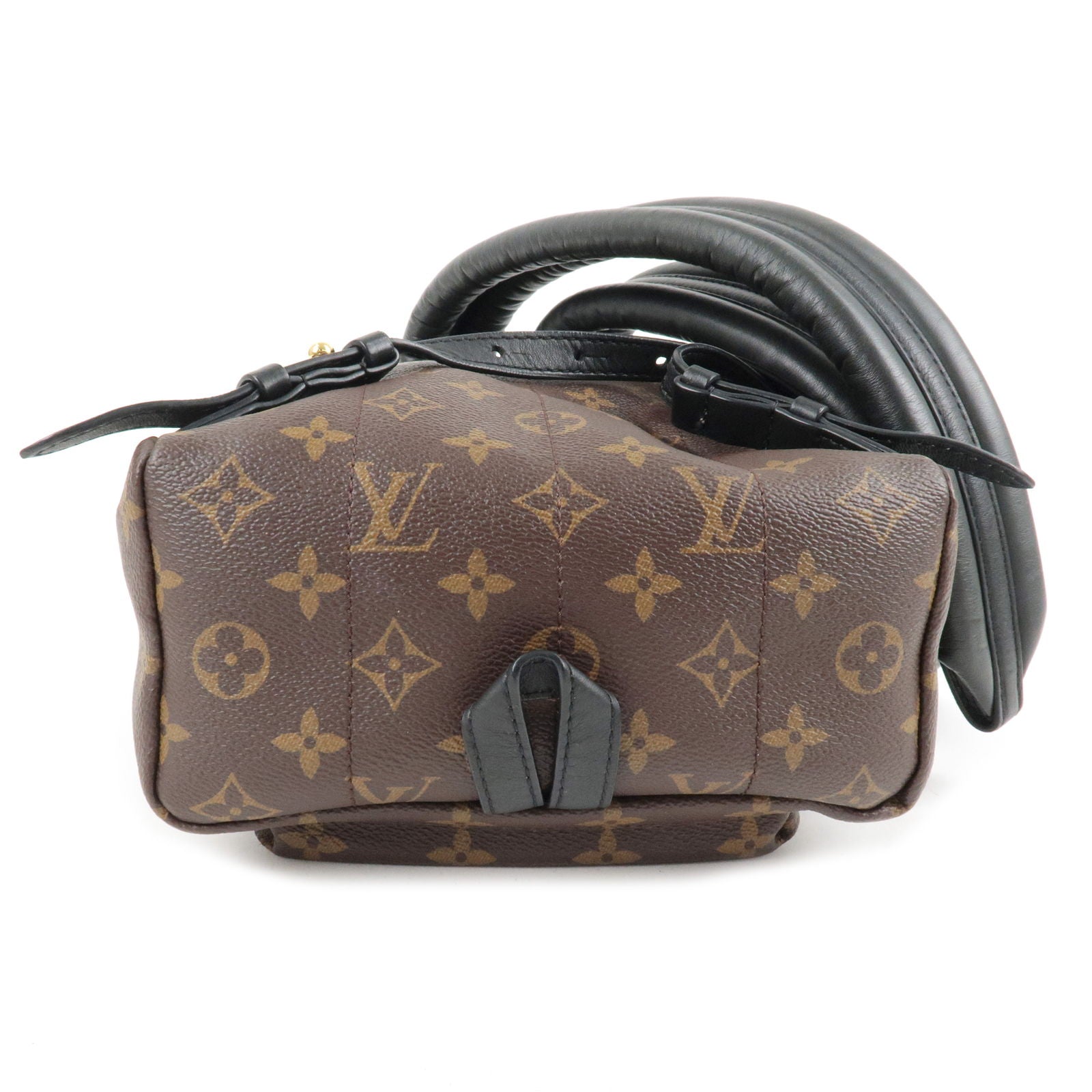 Louis Vuitton LV Women Palm Springs PM Backpack in Monogram