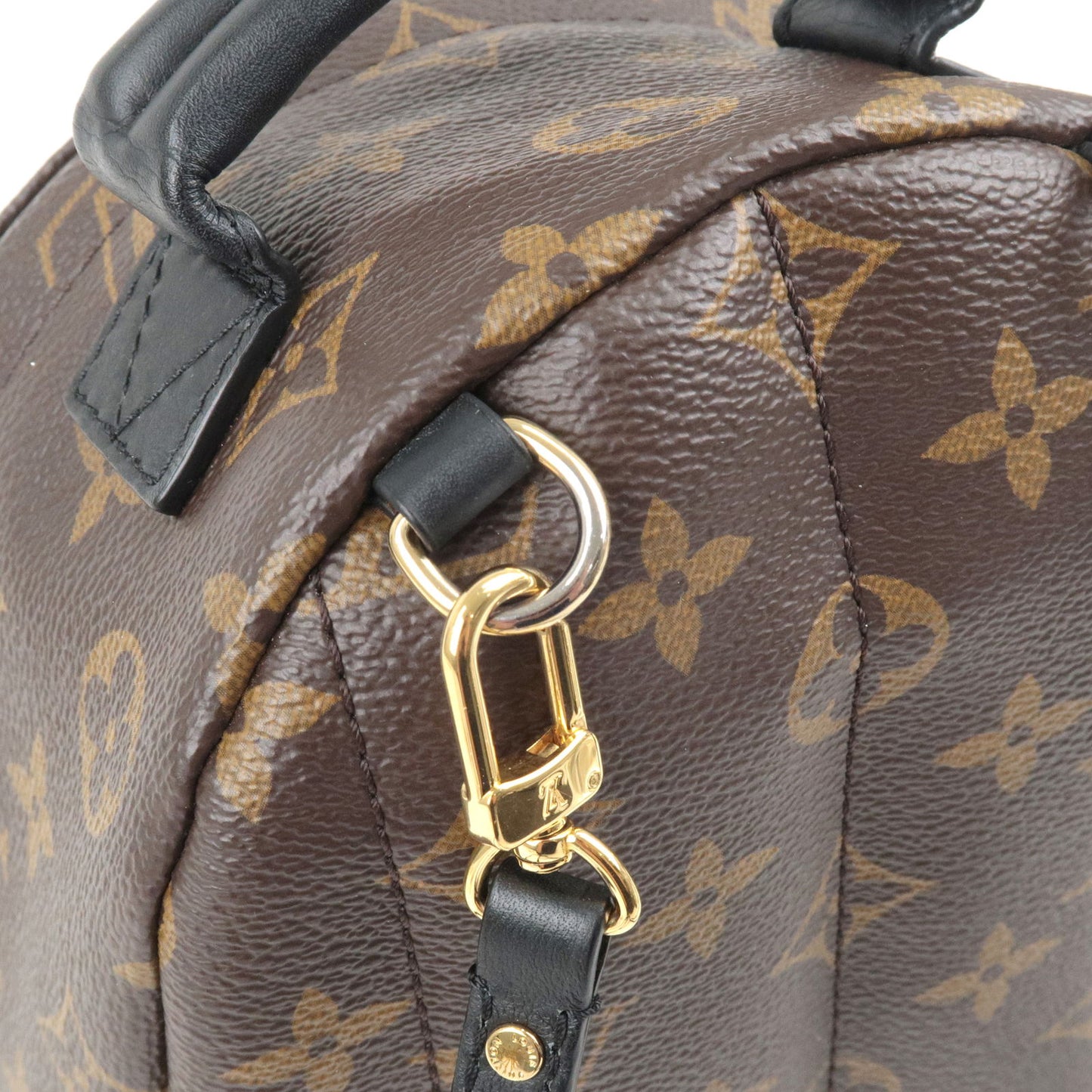 Monogram Palm Springs Mini Backpack (M44873) – Hidden Luxury