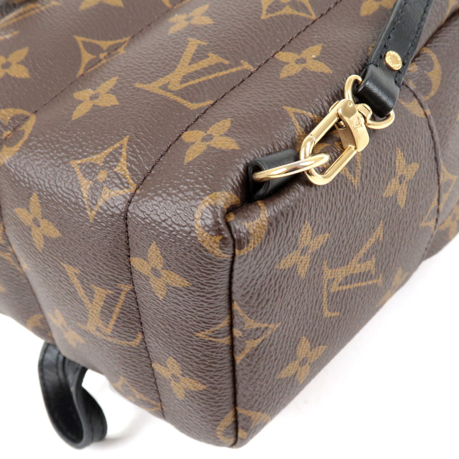 Louis Vuitton Monogram Palm Spring Mini Backpack Bag – The Closet