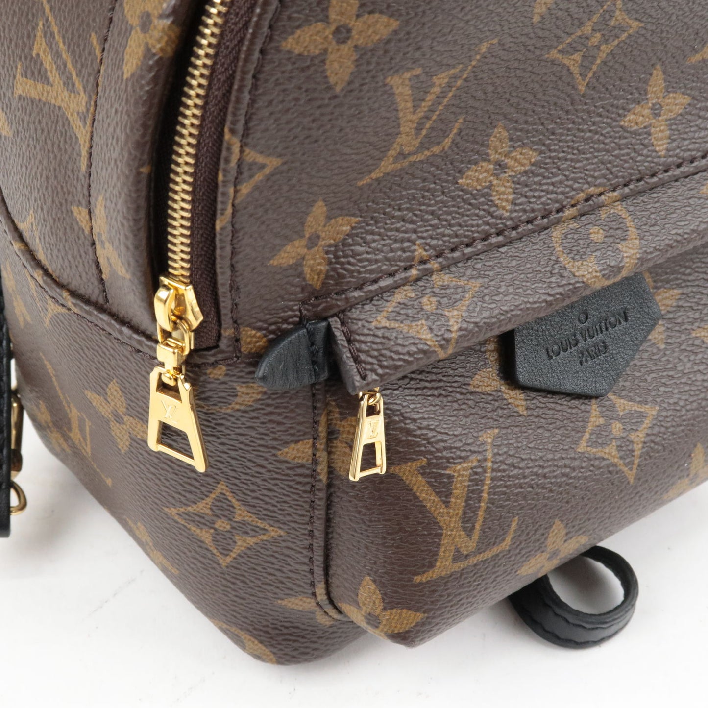 Louis Vuitton Monogram Palm Spring Mini Backpack Bag – The Closet