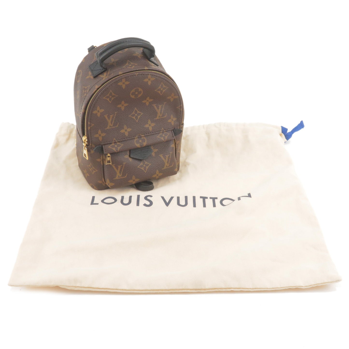 Louis Vuitton Monogram Palm Springs MINI Back Pack M41562