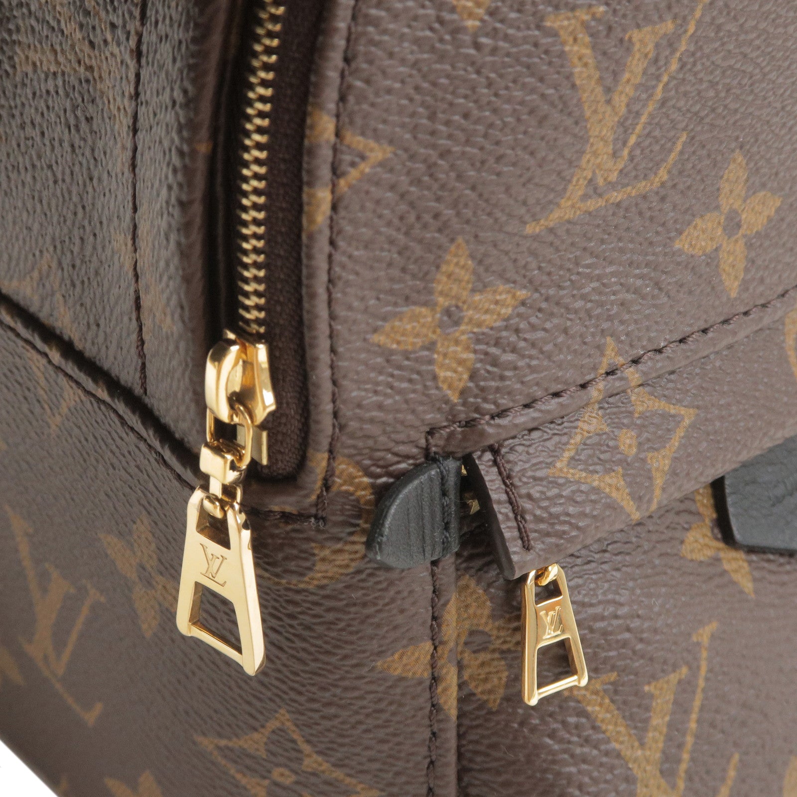 Shop Louis Vuitton MONOGRAM LV PALM SPRINGS MINI brown Monogram